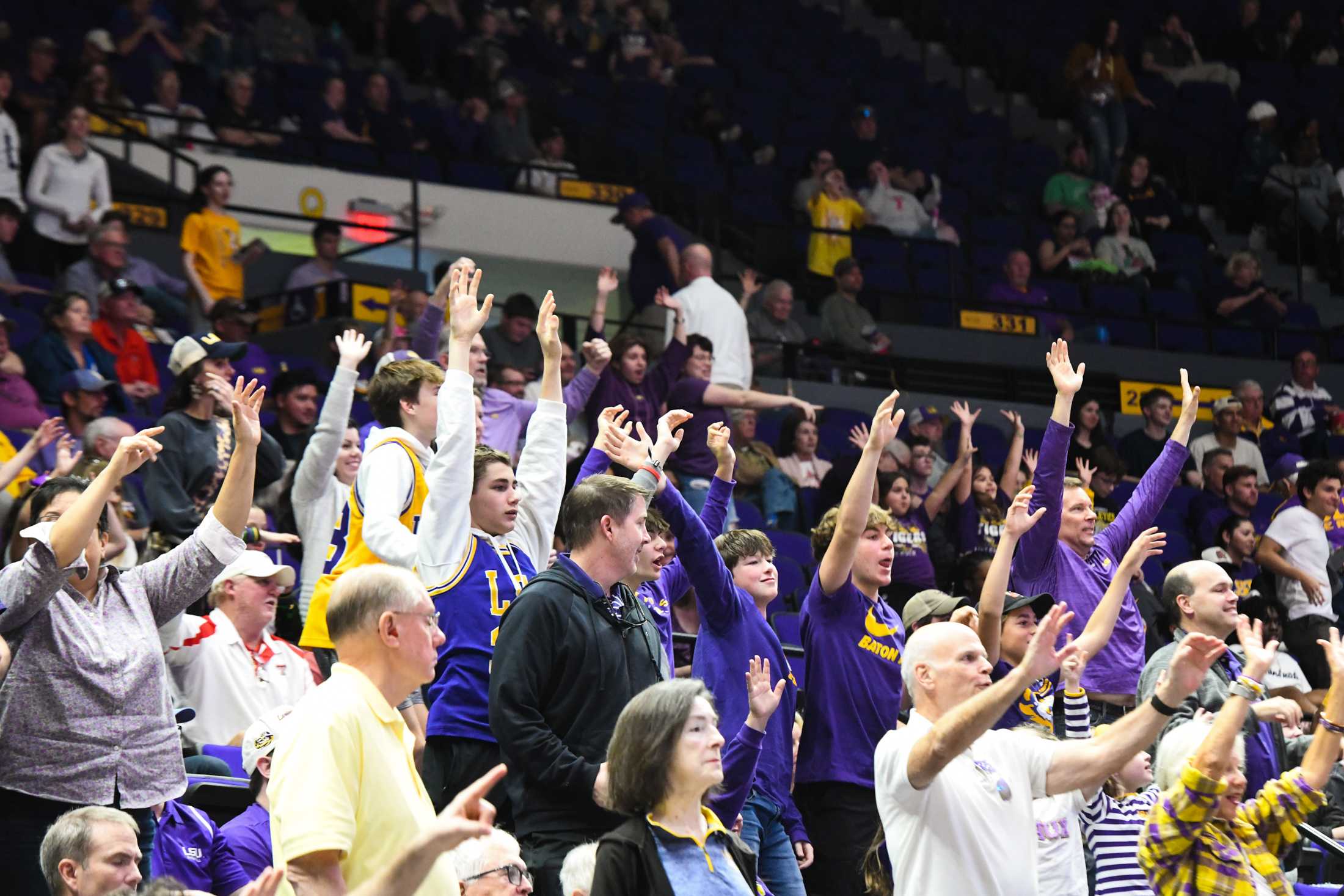 PHOTOS: LSU men's basketball falls short against Texas Tech