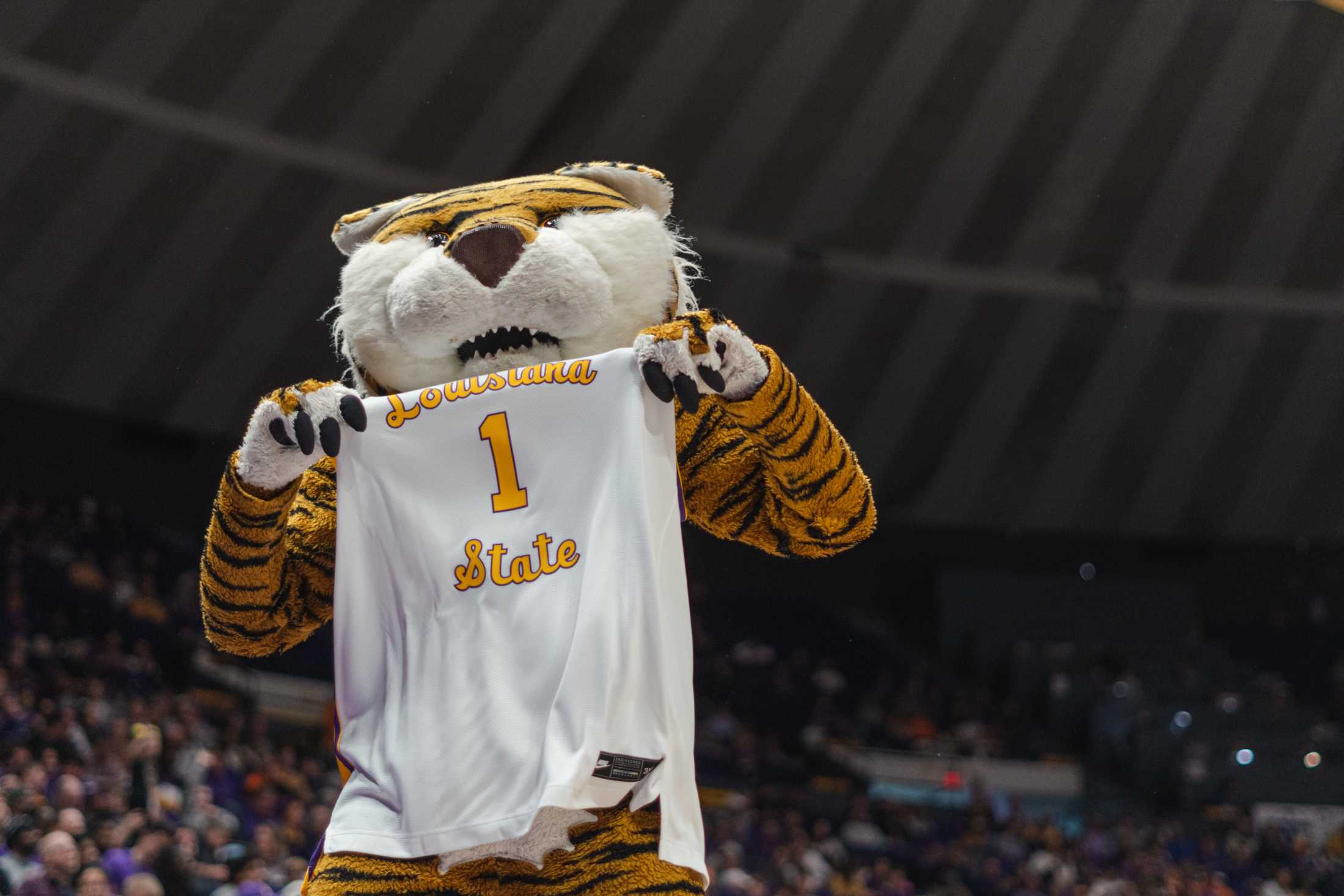 PHOTOS: LSU men's basketball falls 77-56 against Tennessee