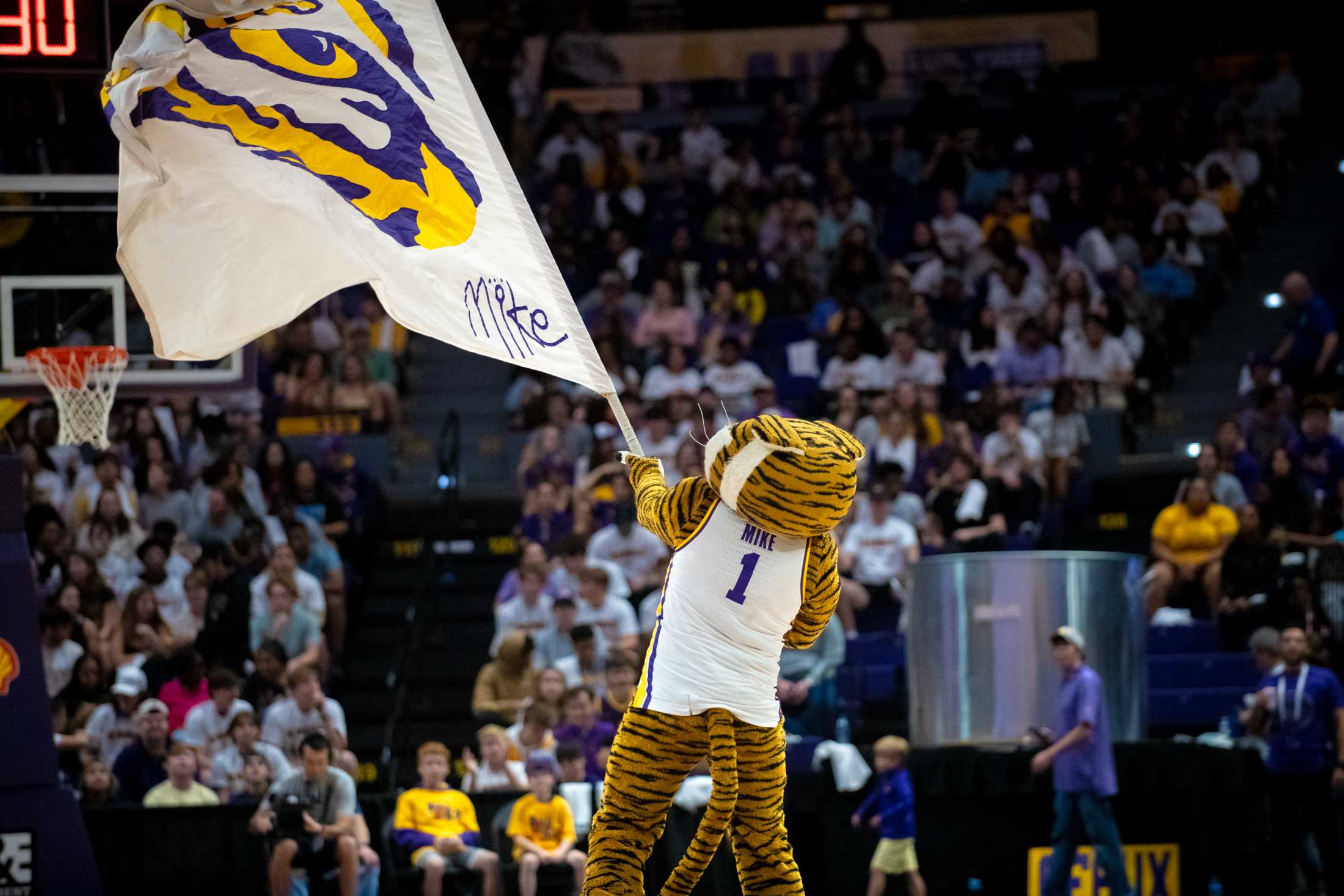 PHOTOS: LSU men's basketball falls 67-49 against Auburn