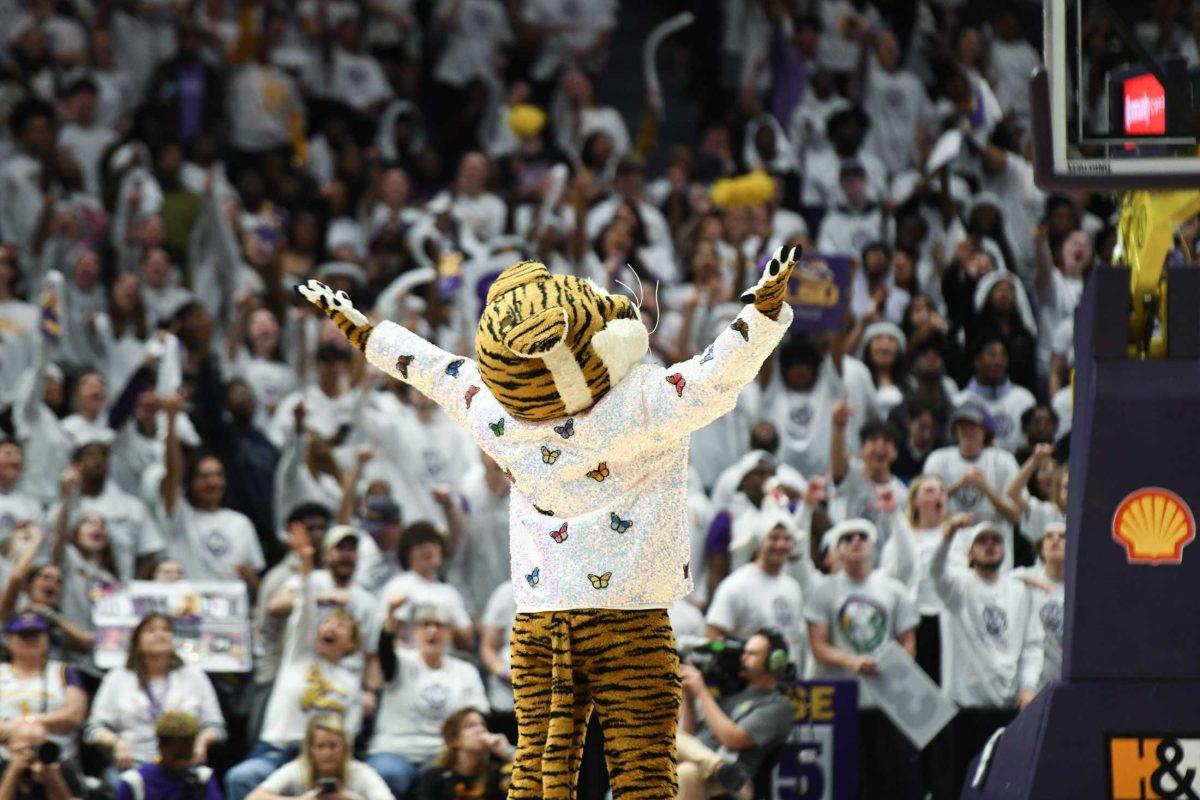 Mike the Tiger stands on the court on Monday, Jan. 30, 2023, during LSU&#8217;s 76-68 win over Tennessee at the Pete Maravich Assembly Center in Baton Rouge, La.