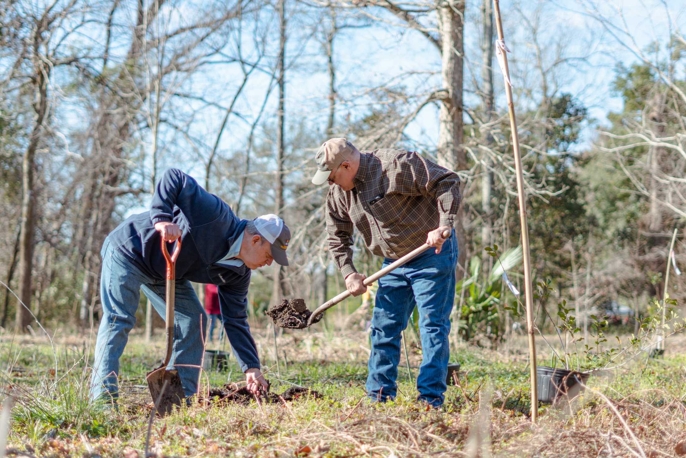 Planting promises: Baton Rouge comes out for Arbor Day to fight against hurricane tree loss