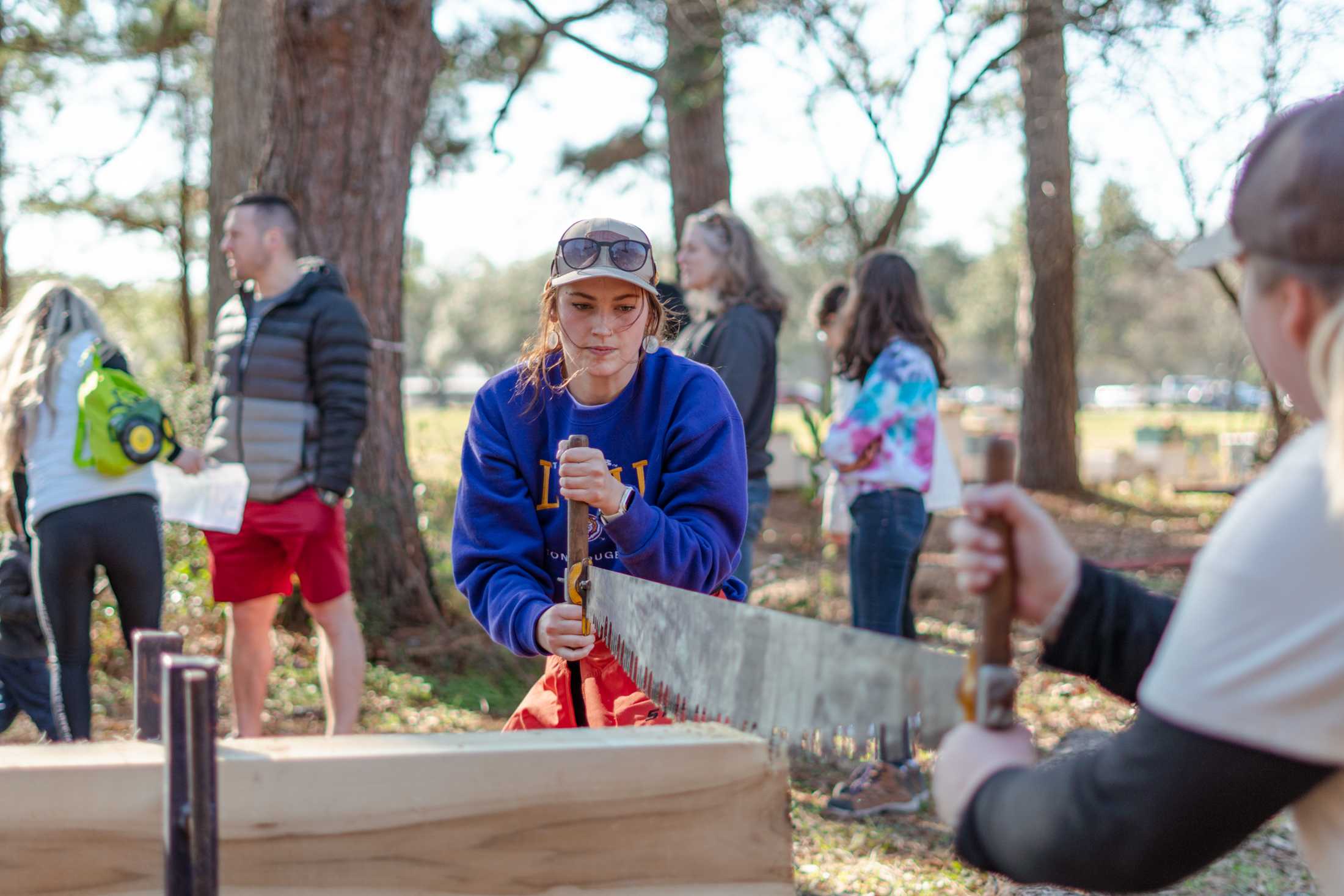 Planting promises: Baton Rouge comes out for Arbor Day to fight against hurricane tree loss