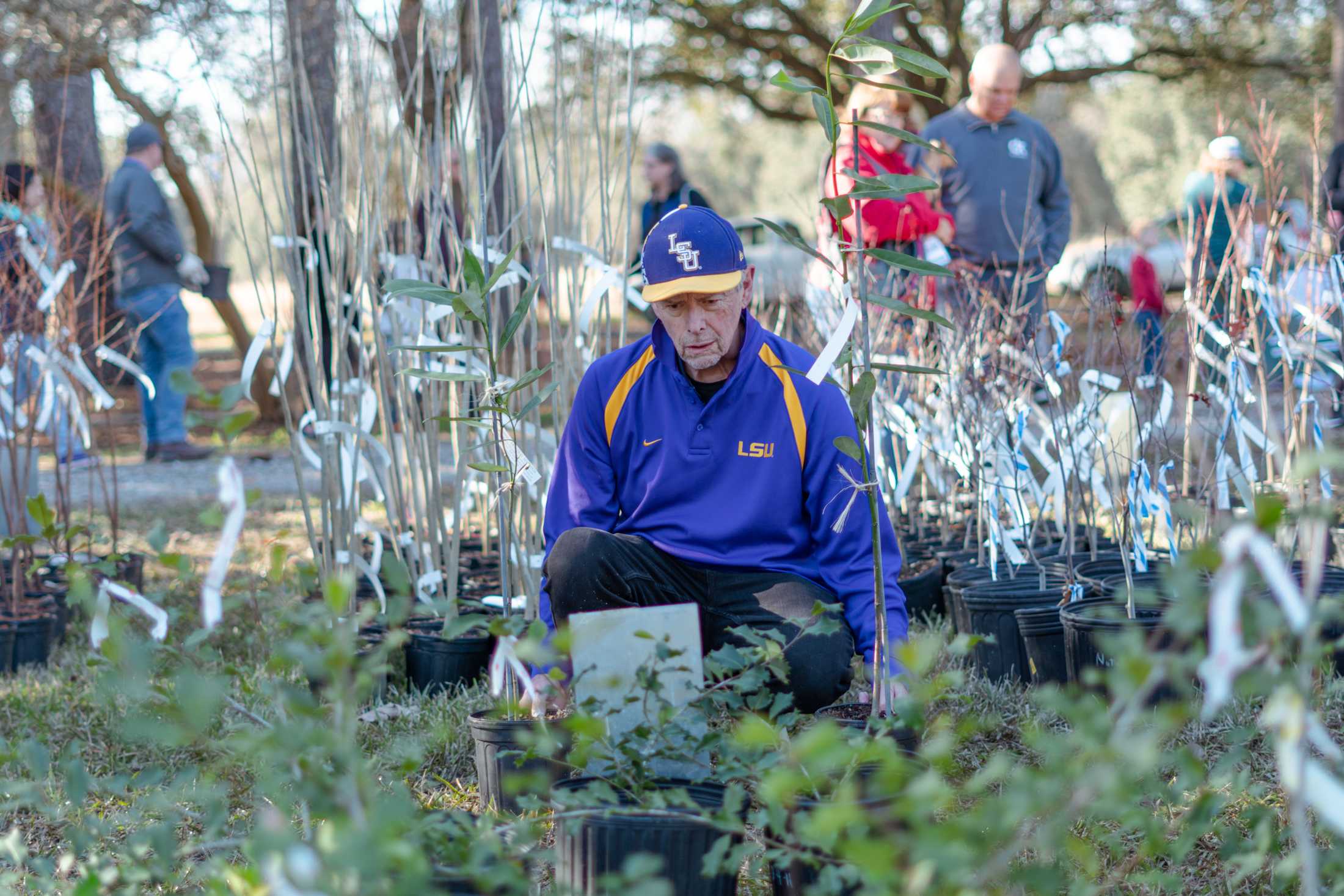 Planting promises: Baton Rouge comes out for Arbor Day to fight against hurricane tree loss