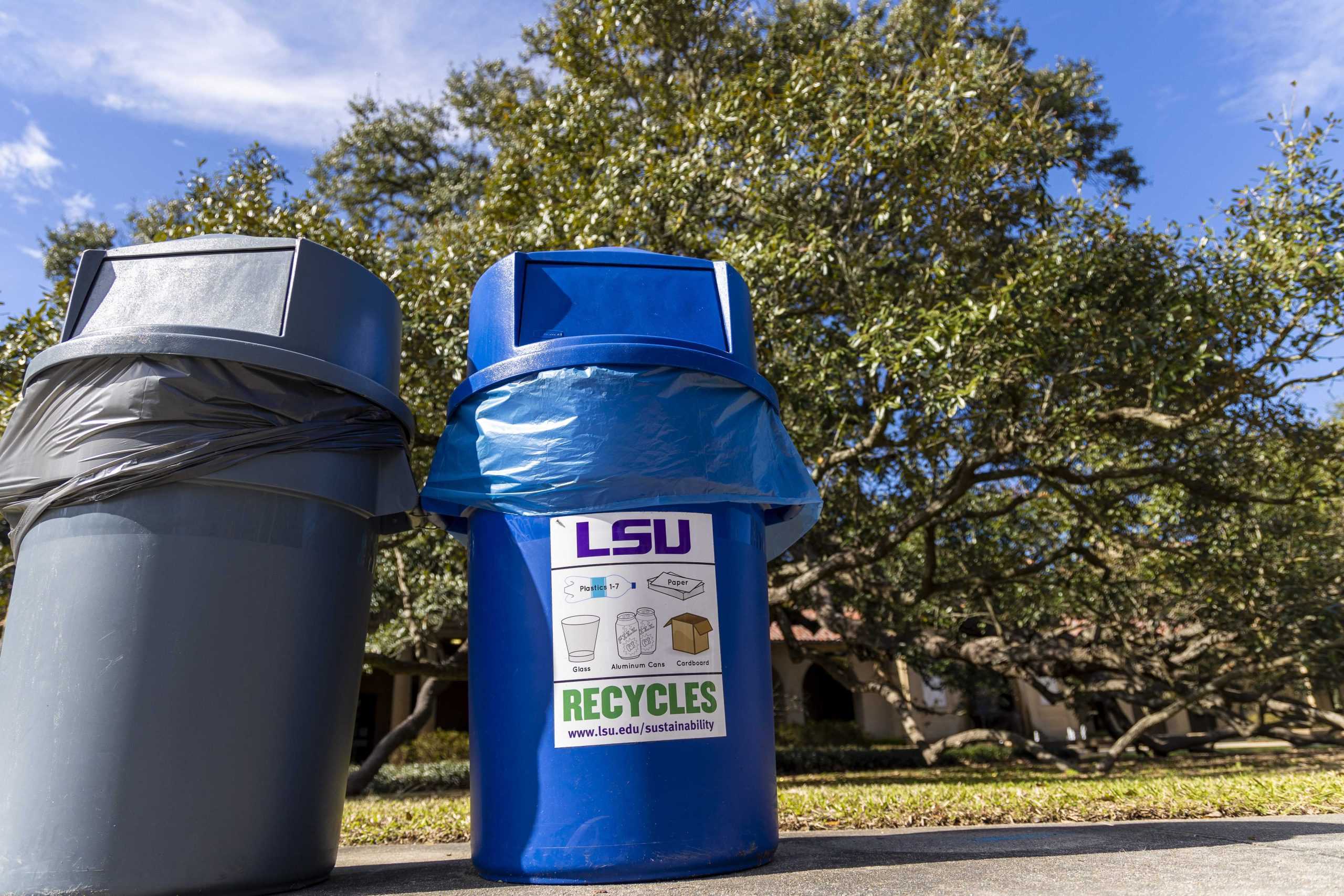 Time is running out to save the environment, how can LSU students help out while on campus?