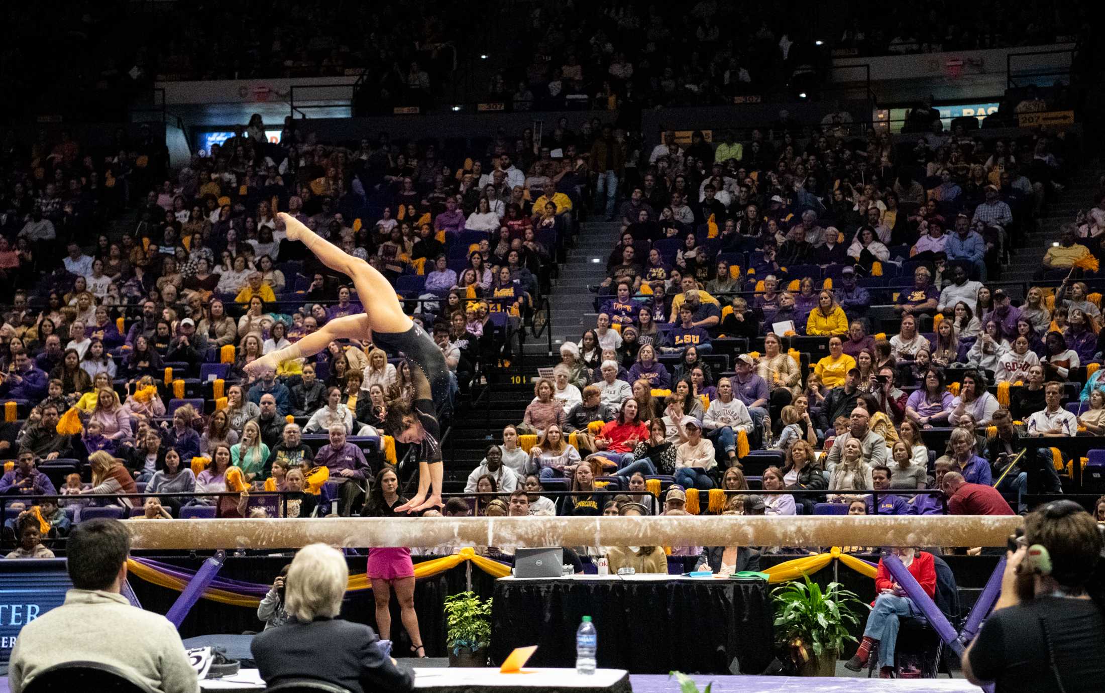 PHOTOS: LSU gymnastics defeats Missouri 197.150-196.525