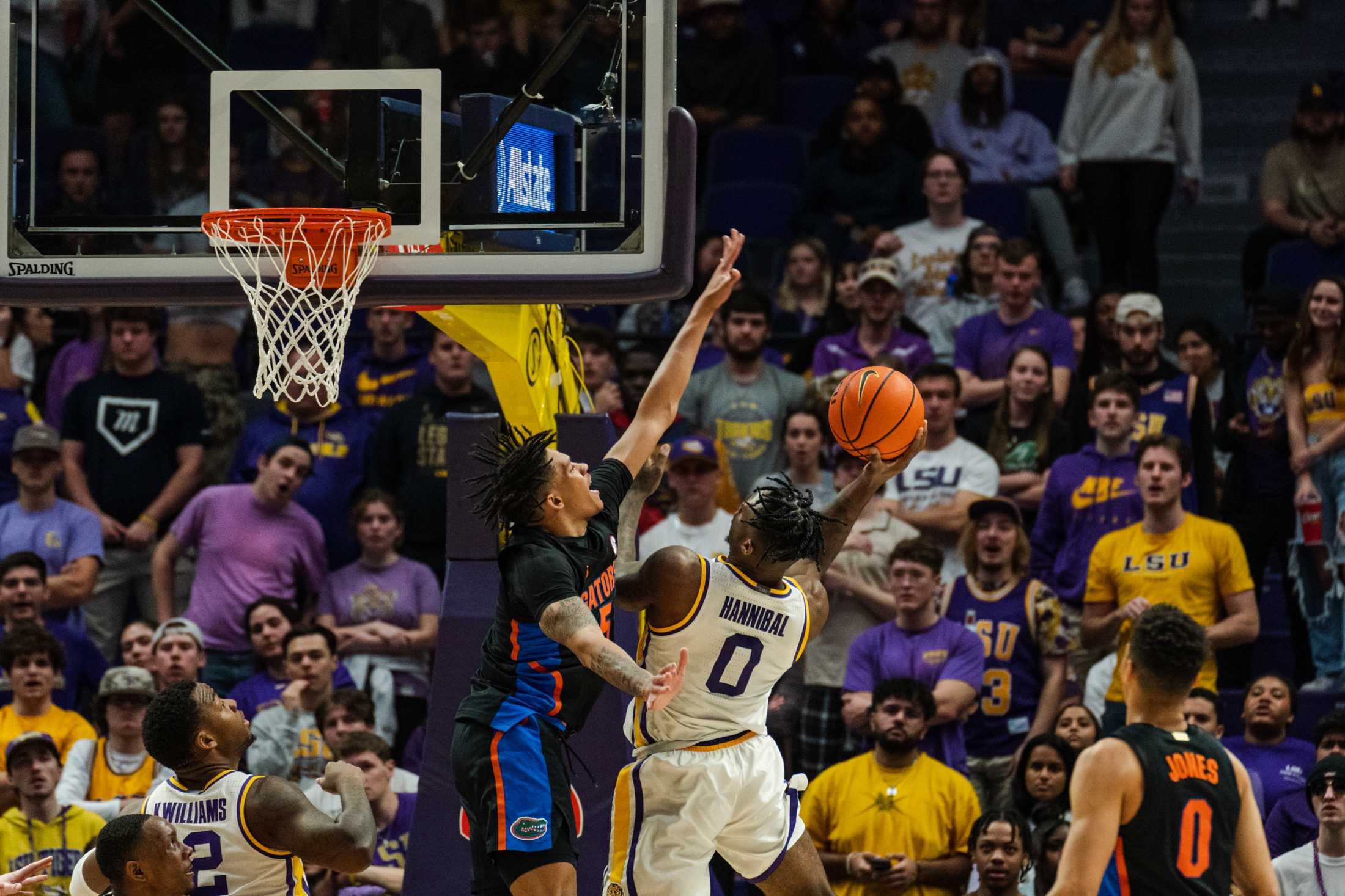 PHOTOS: LSU men's basketball falls to Florida 67-56