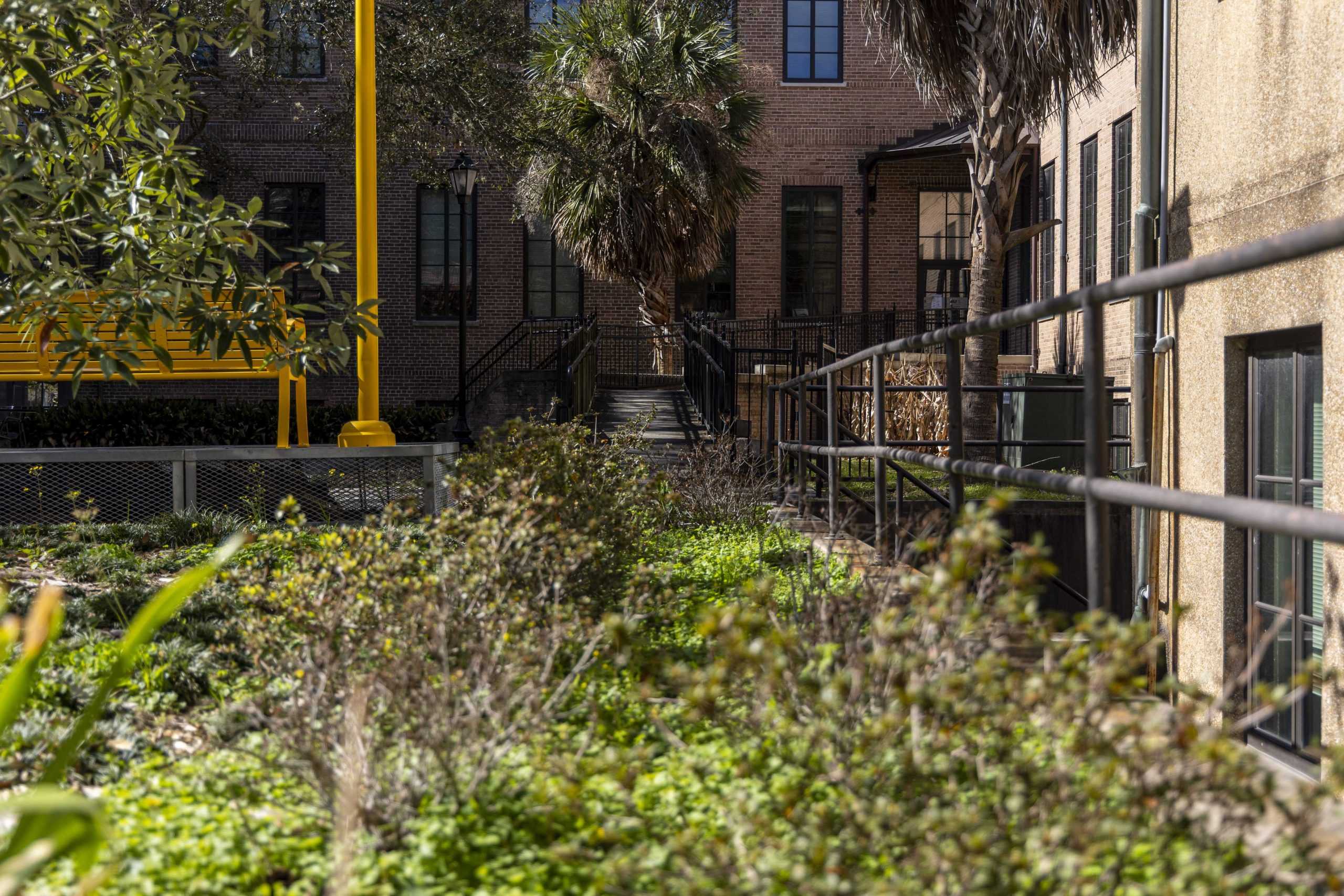 Time is running out to save the environment, how can LSU students help out while on campus?