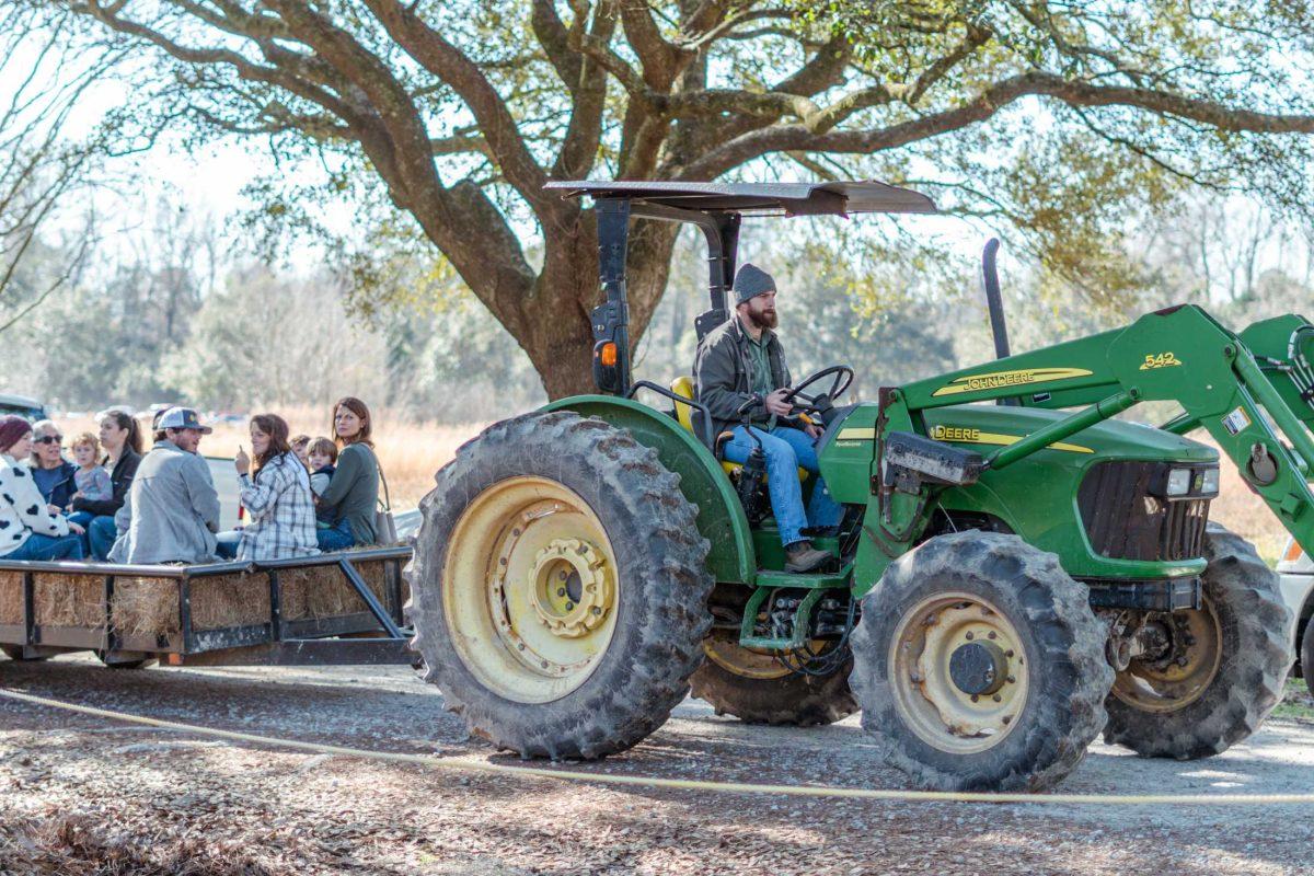 A tractor driver pulls a trailer for the hayride on Saturday, Jan. 28, 2023, during Arbor Day at the LSU AgCenter Burden Museum and Gardens in Baton Rouge, La.