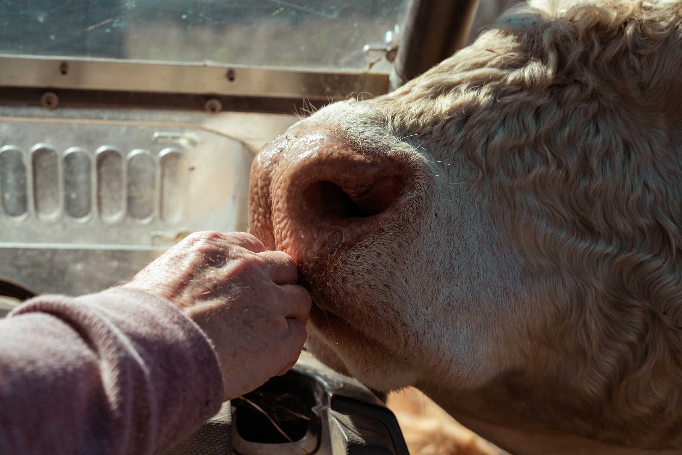 PHOTOS: Our local farms