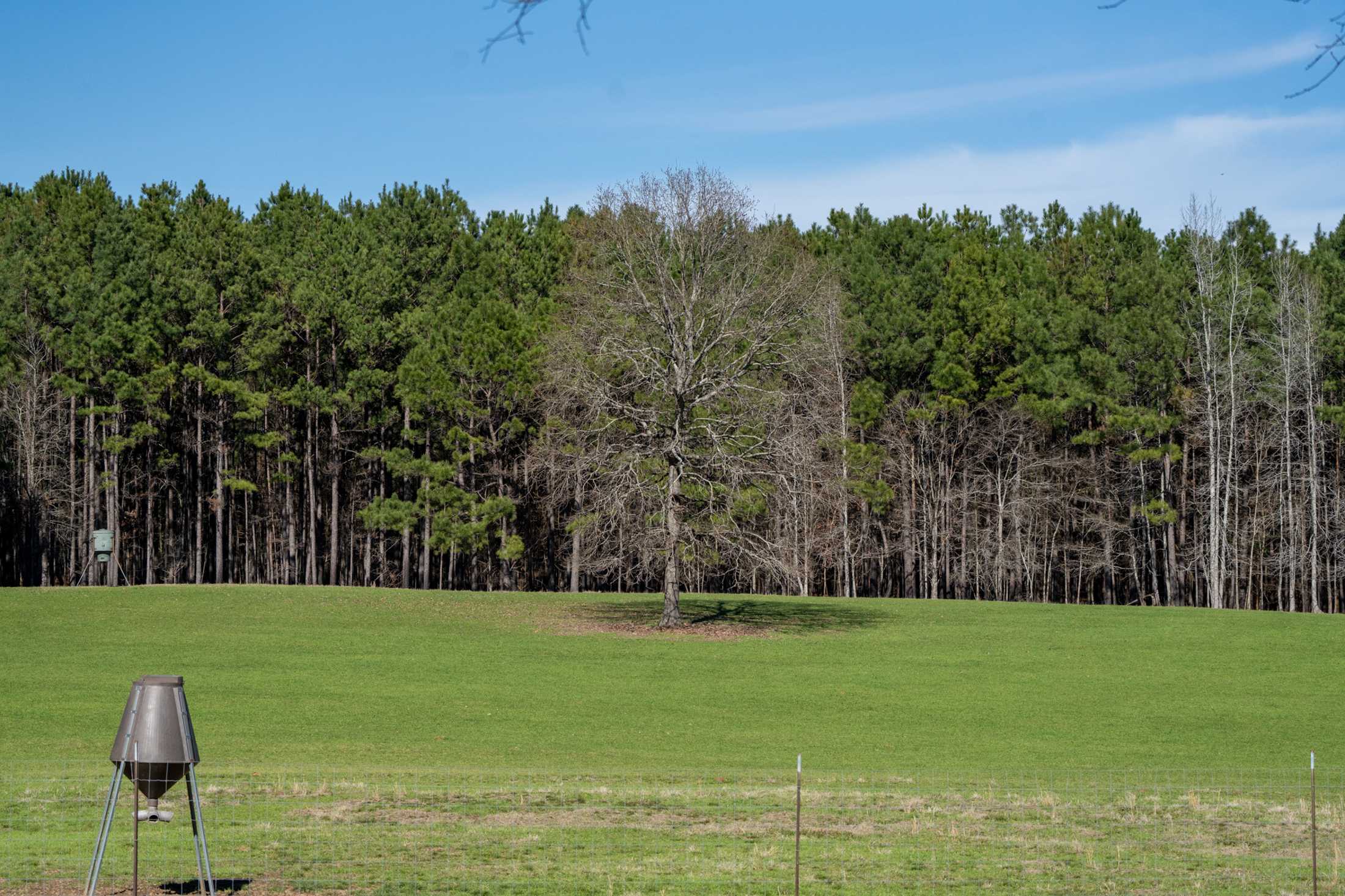 PHOTOS: Our local farms