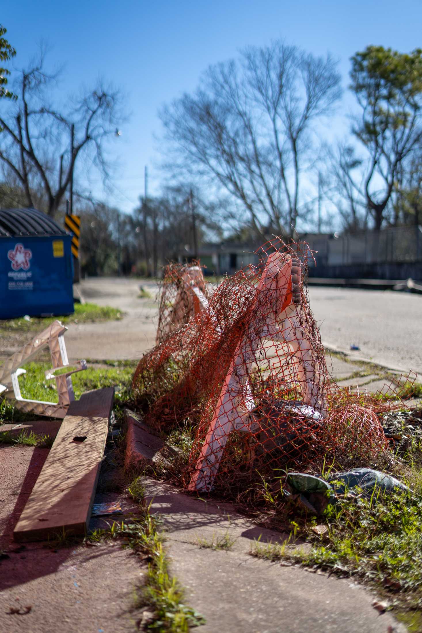 PHOTOS: LSU law students volunteer for litter collection