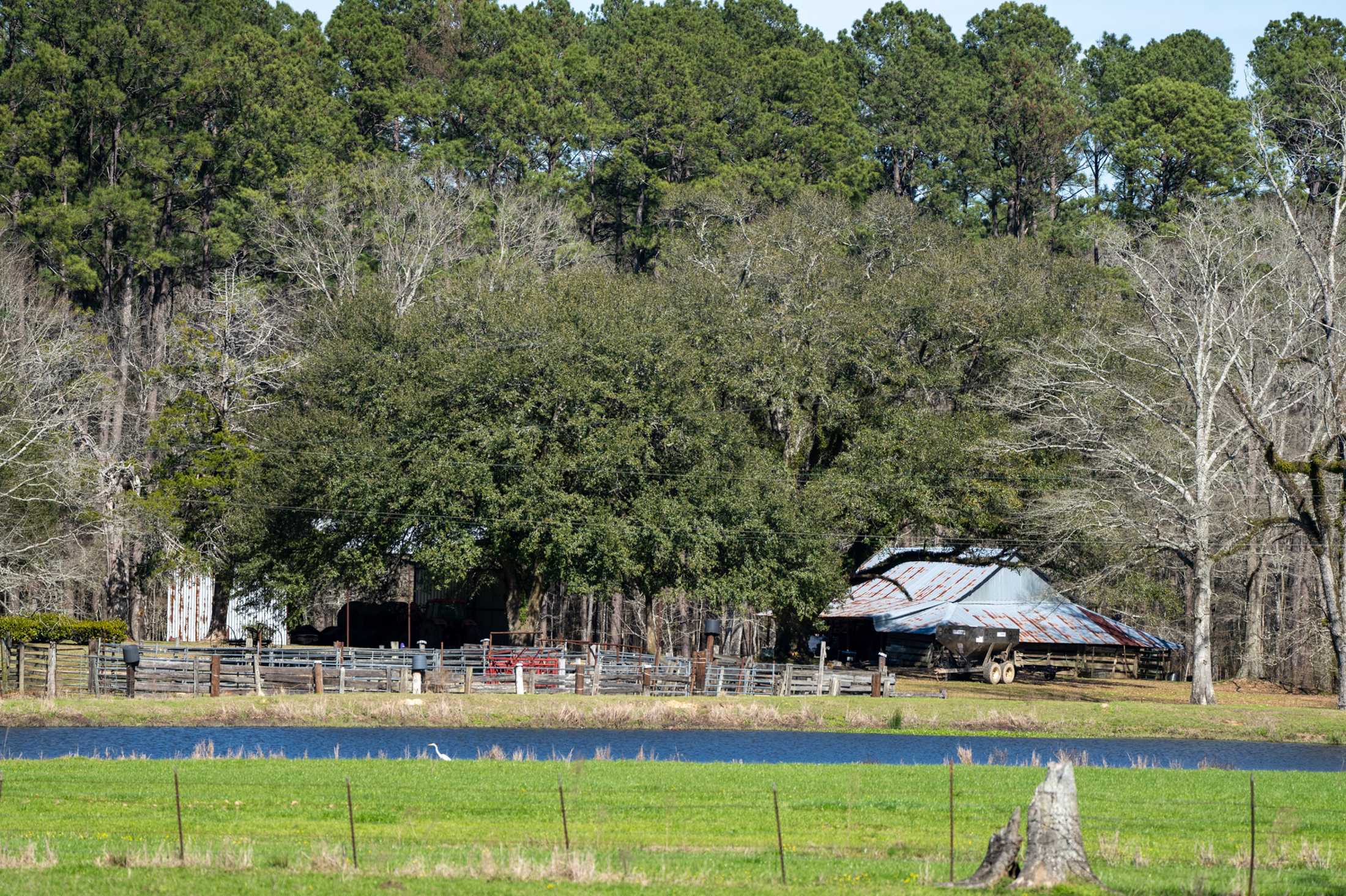 PHOTOS: Our local farms