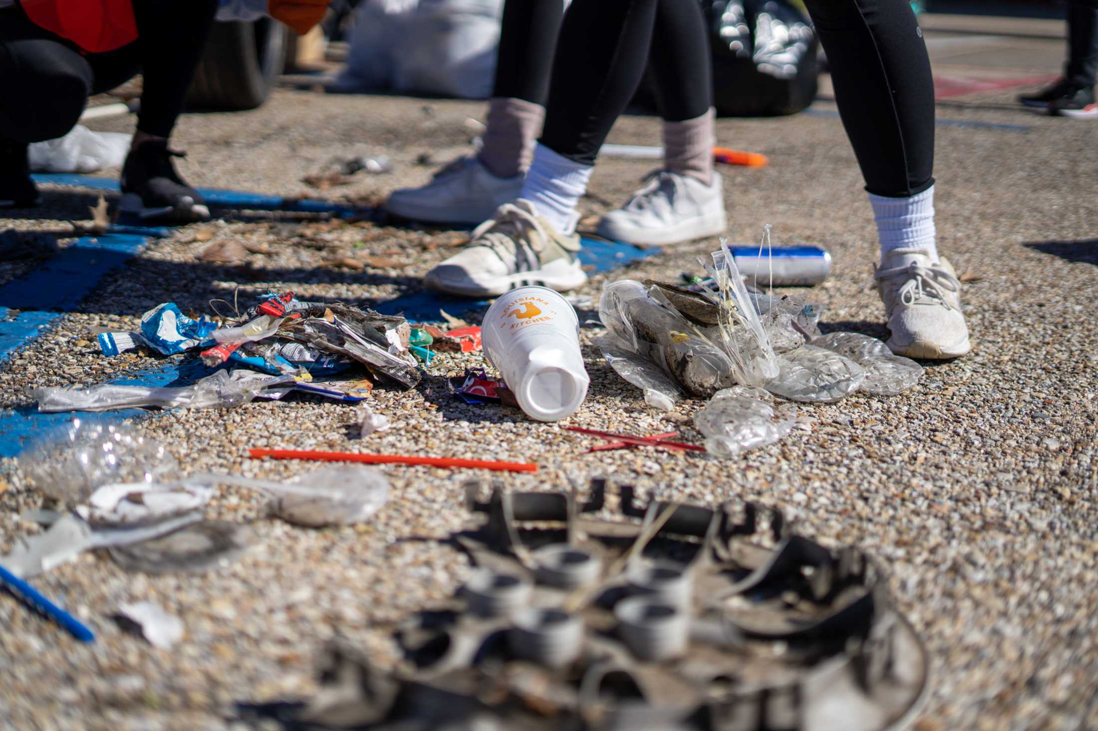 PHOTOS: LSU law students volunteer for litter collection