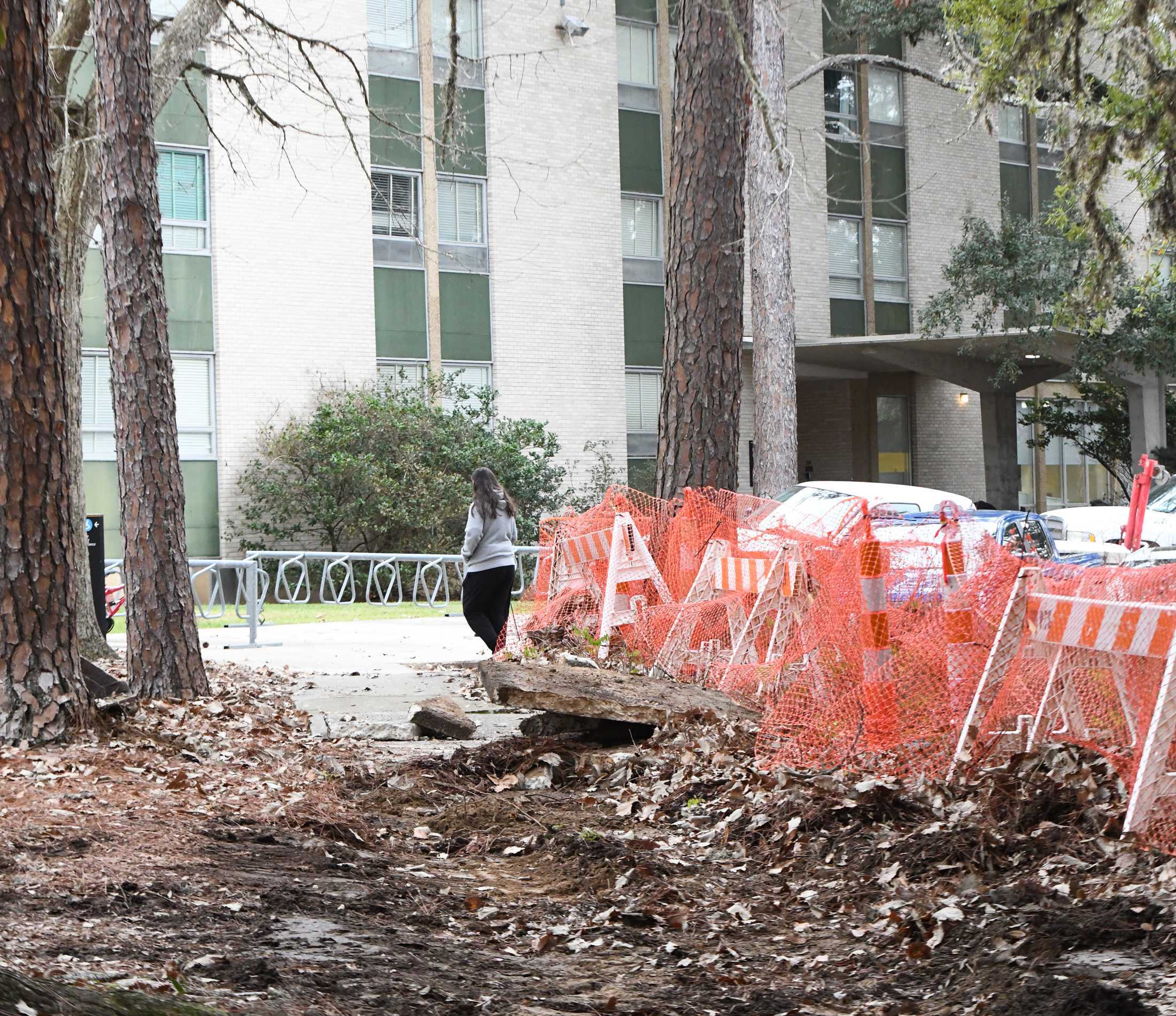 PHOTOS: Construction and maintenance on LSU's campus