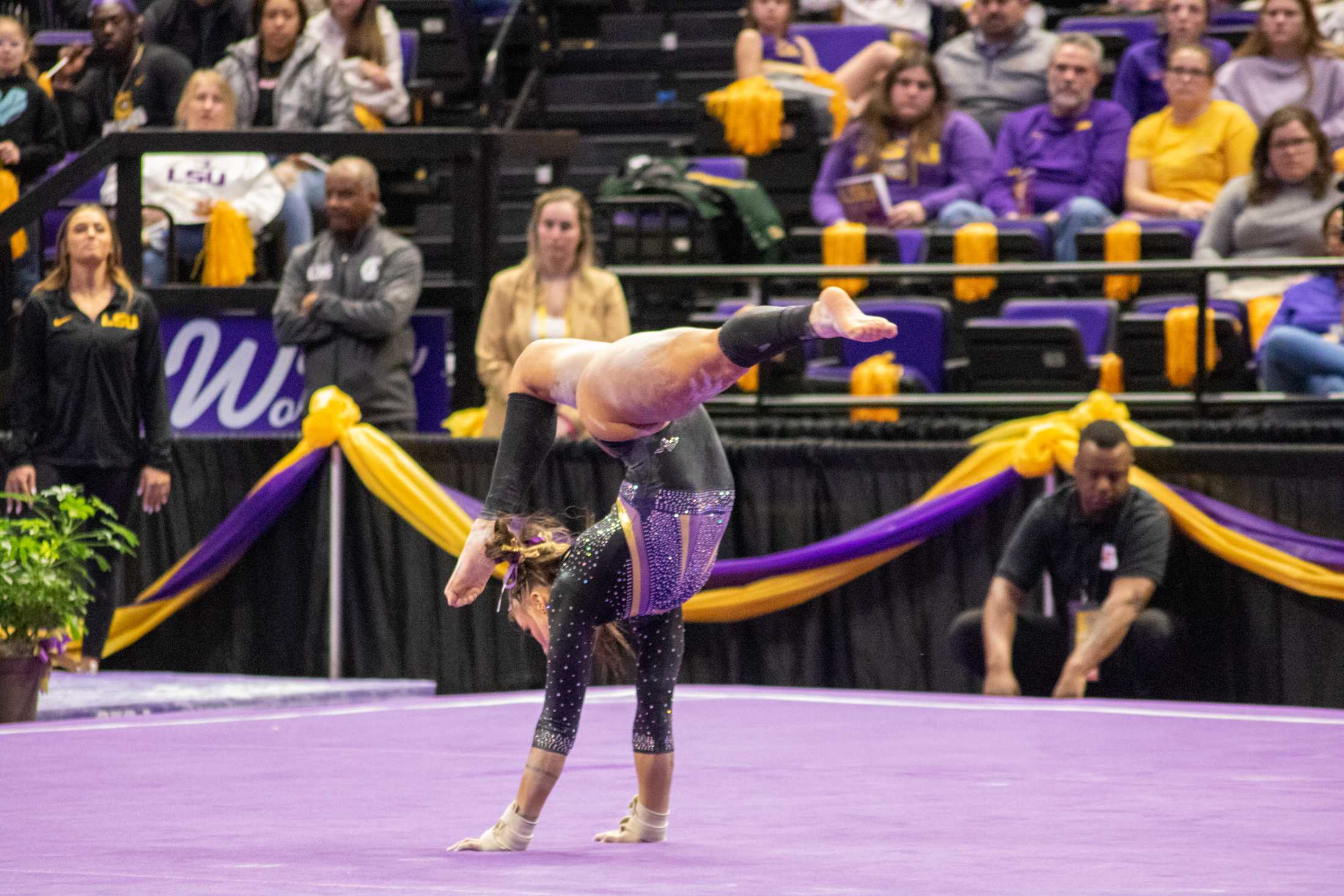 PHOTOS: LSU gymnastics defeats Florida 198.100-197.975