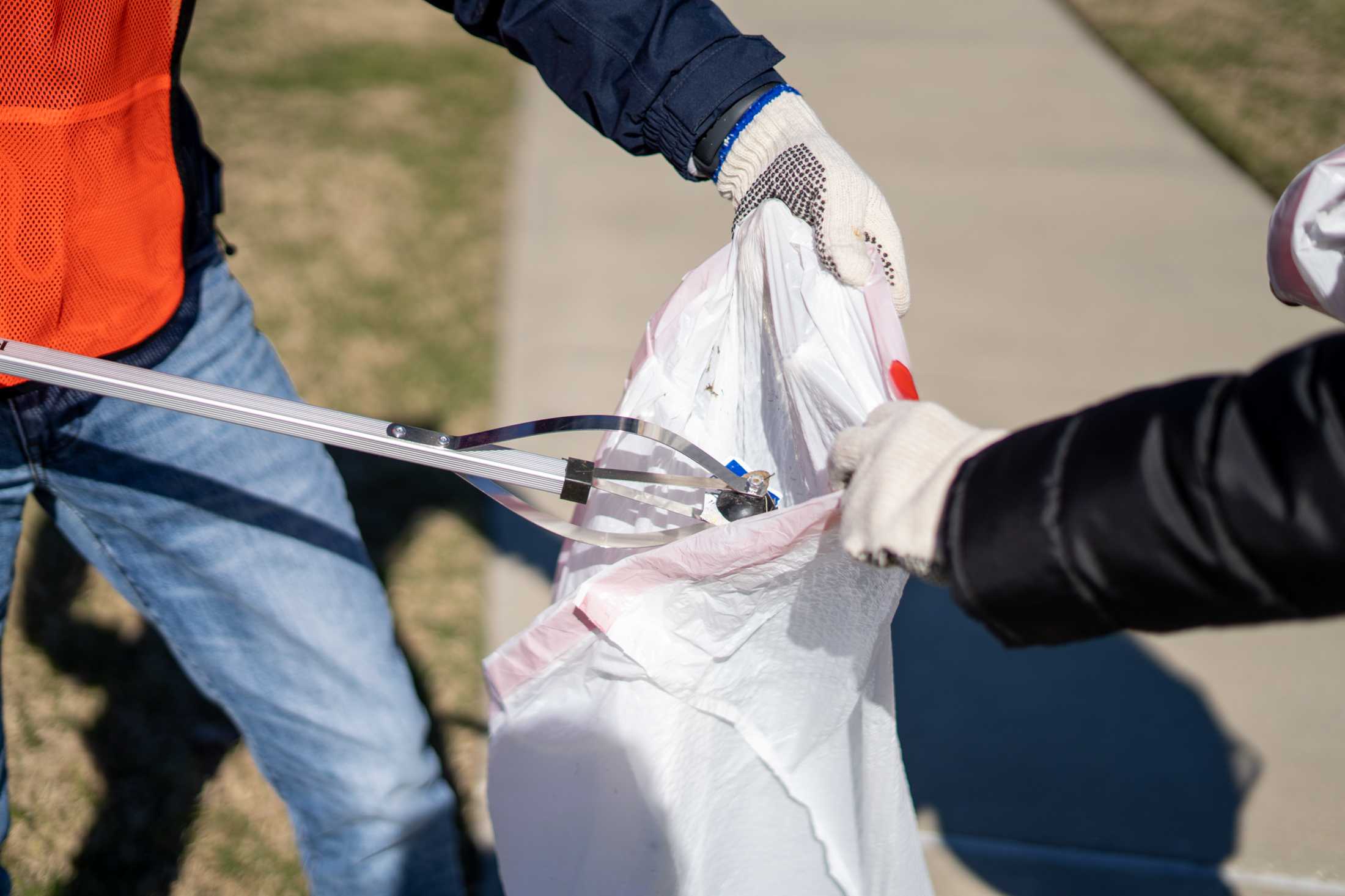 PHOTOS: LSU law students volunteer for litter collection