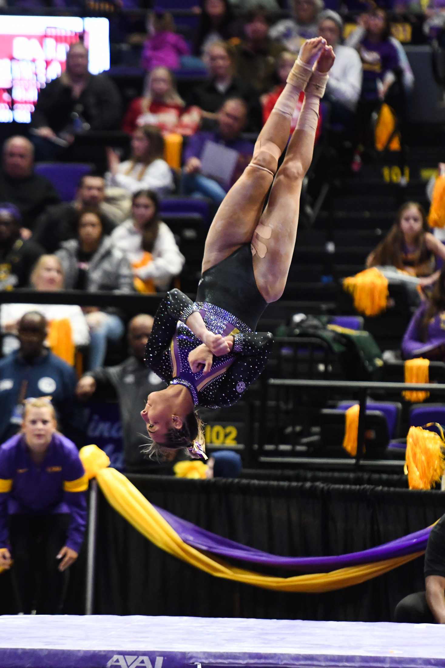 PHOTOS: LSU gymnastics defeats Florida 198.100-197.975