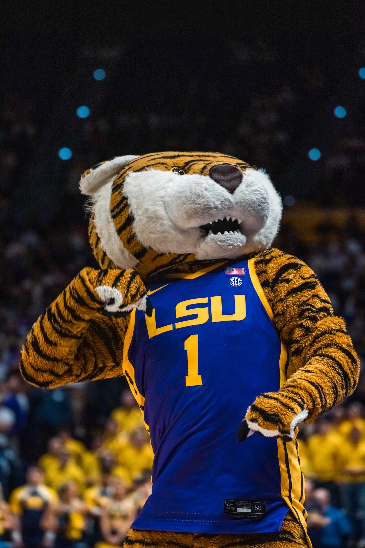 PHOTOS: LSU women's basketball takes down Michigan in second round of March Madness