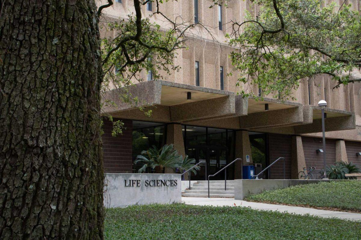 The Life Sciences Building peeks out from behind a tree Monday, March 13, 2023, on LSU’s campus in Baton Rouge, La.
