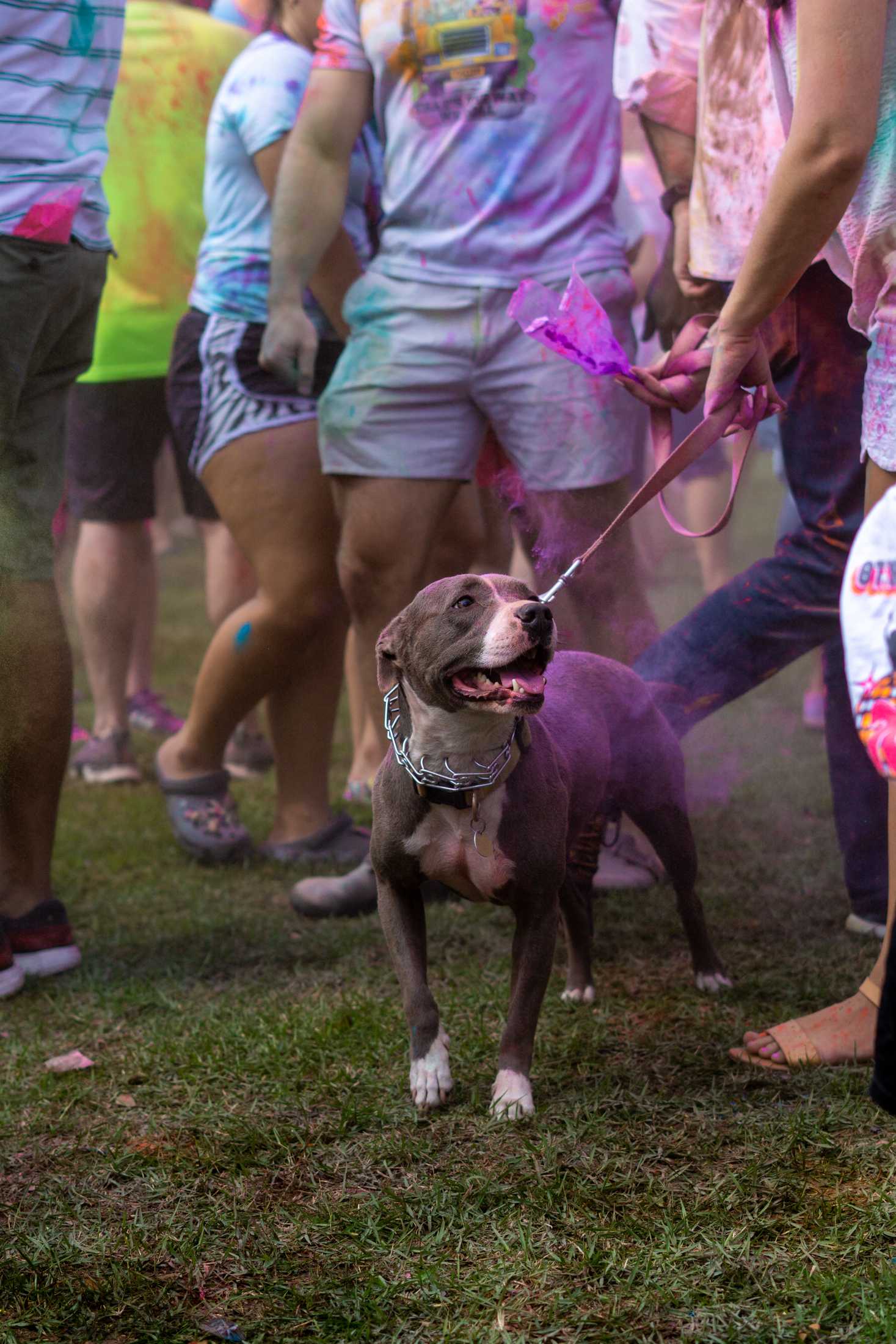 PHOTOS: Holi in Baton Rouge