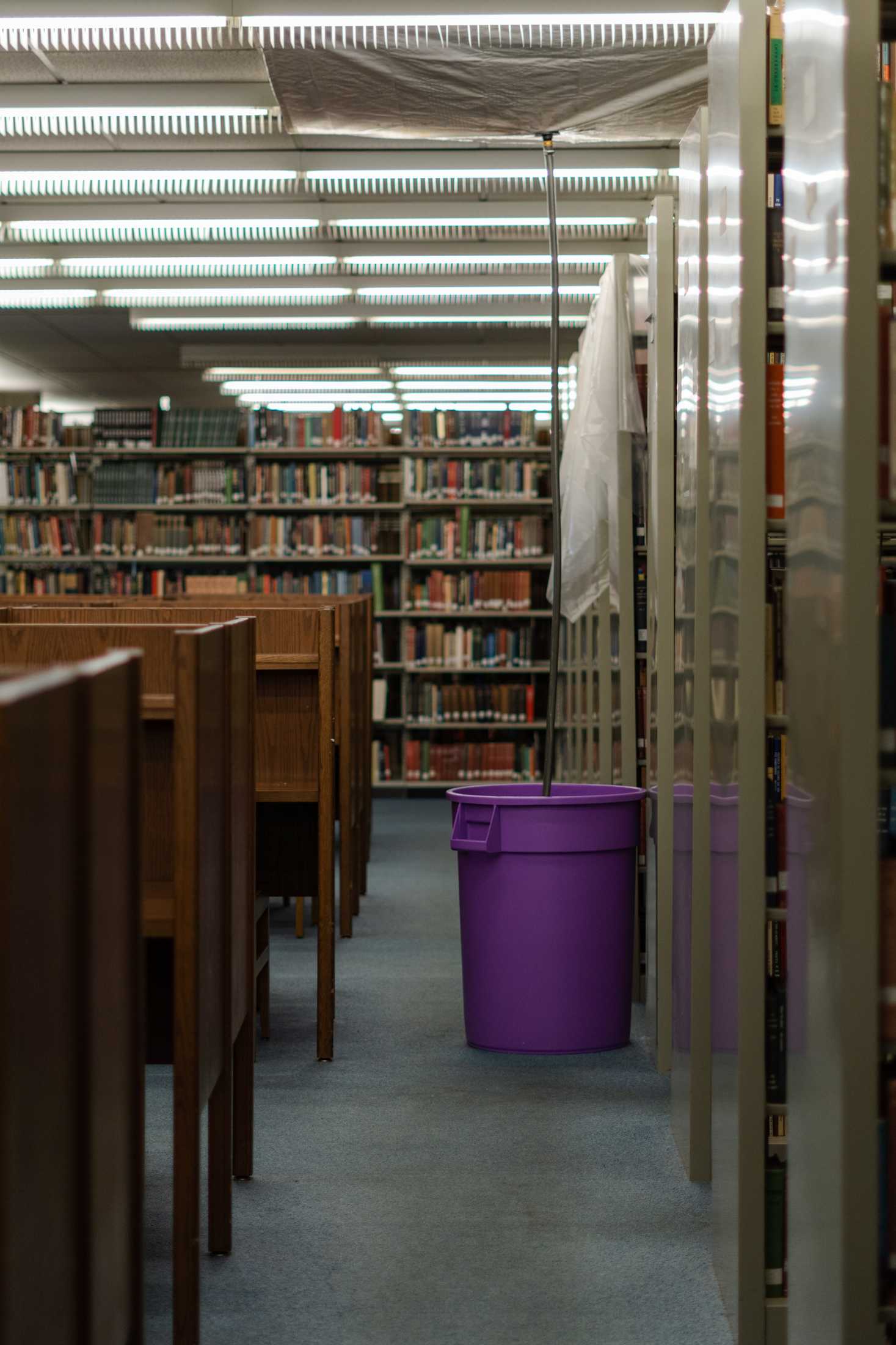 PHOTOS: The LSU Library is more than its leaks and disrepair