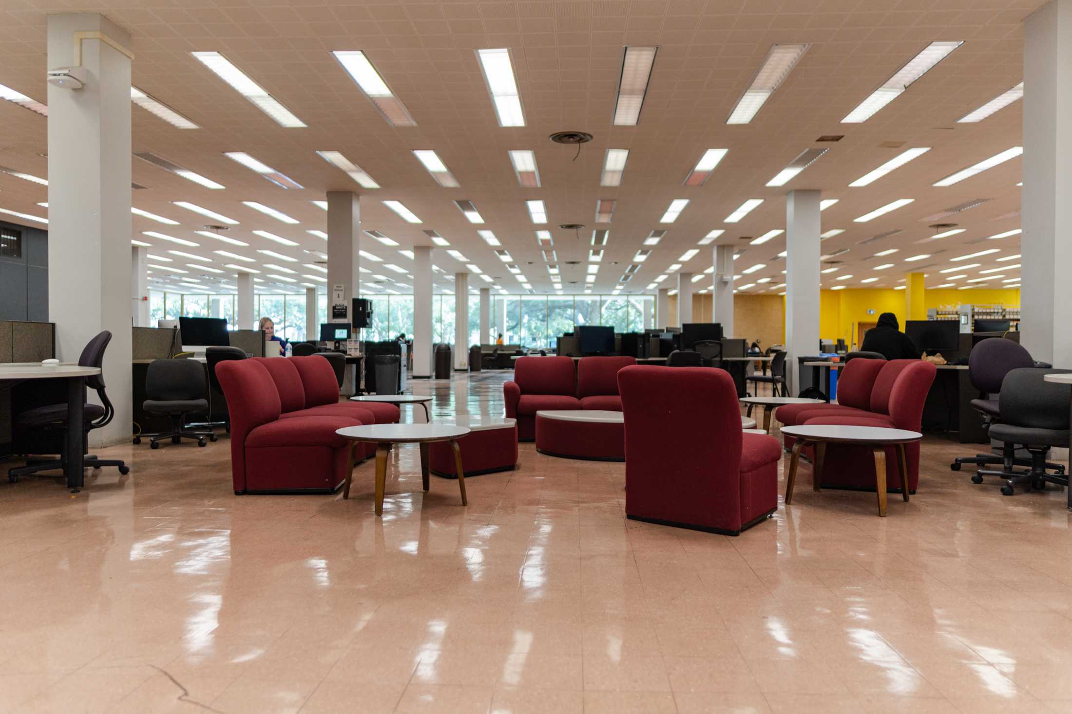 PHOTOS: The LSU Library is more than its leaks and disrepair