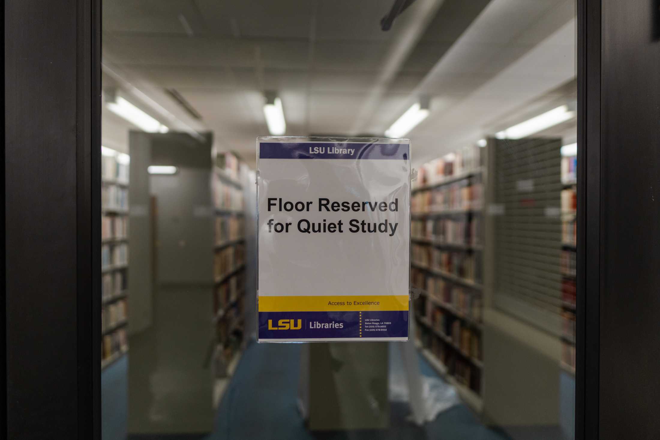 PHOTOS: The LSU Library is more than its leaks and disrepair