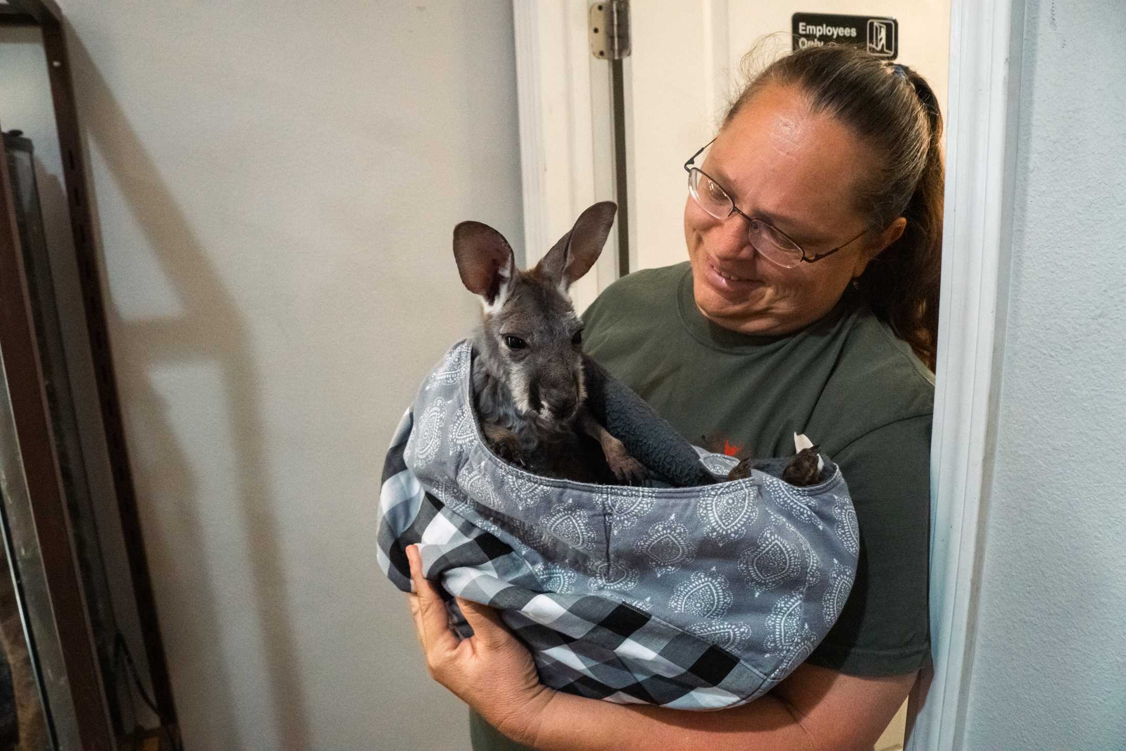 PHOTOS: The wildlife at Barn Hill Preserve