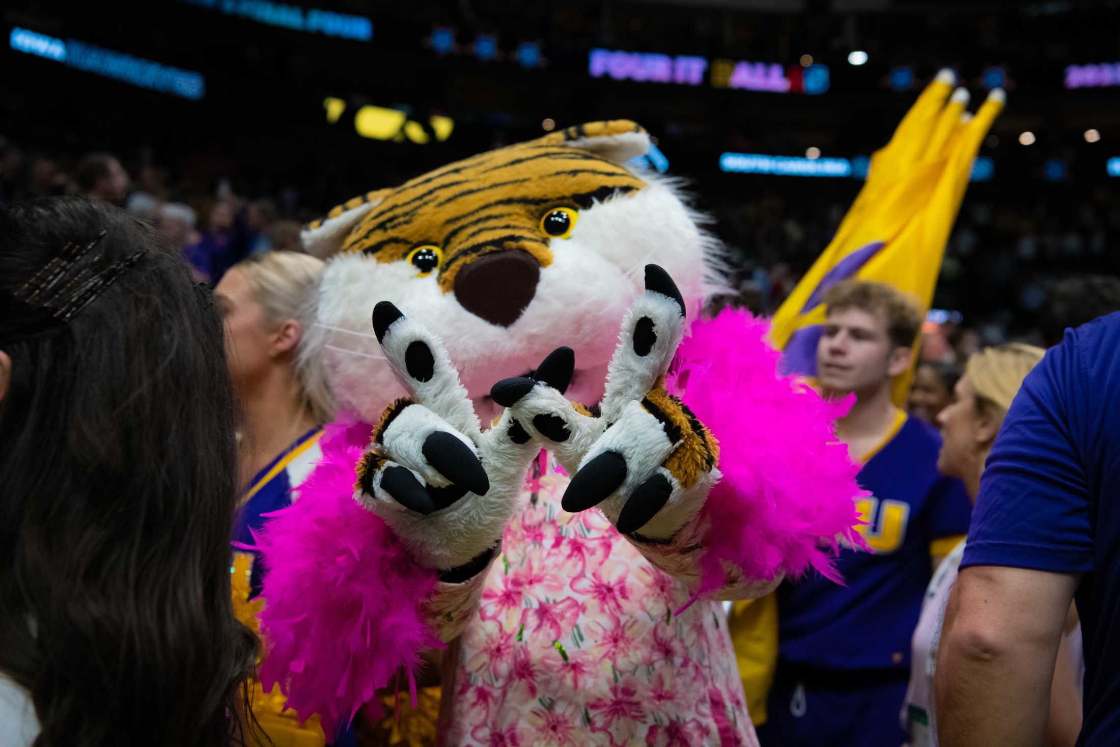 PHOTOS: A journey through the LSU women's basketball championship season