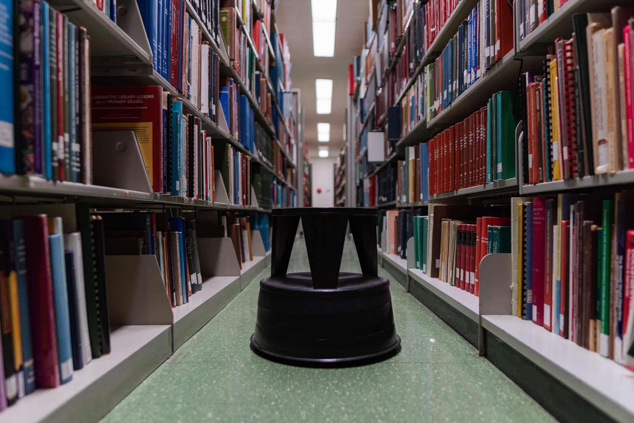 PHOTOS: The LSU Library is more than its leaks and disrepair