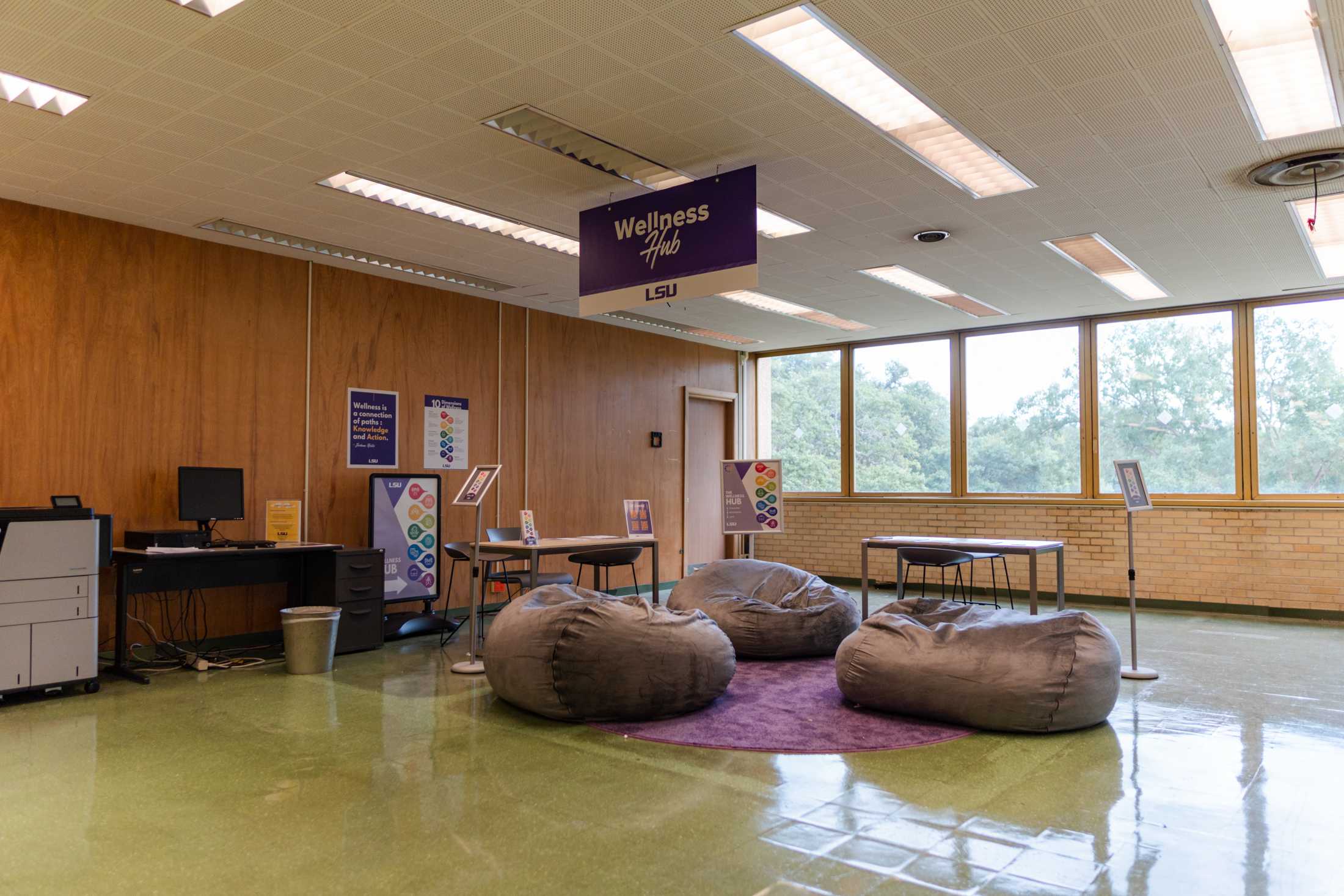 PHOTOS: The LSU Library is more than its leaks and disrepair