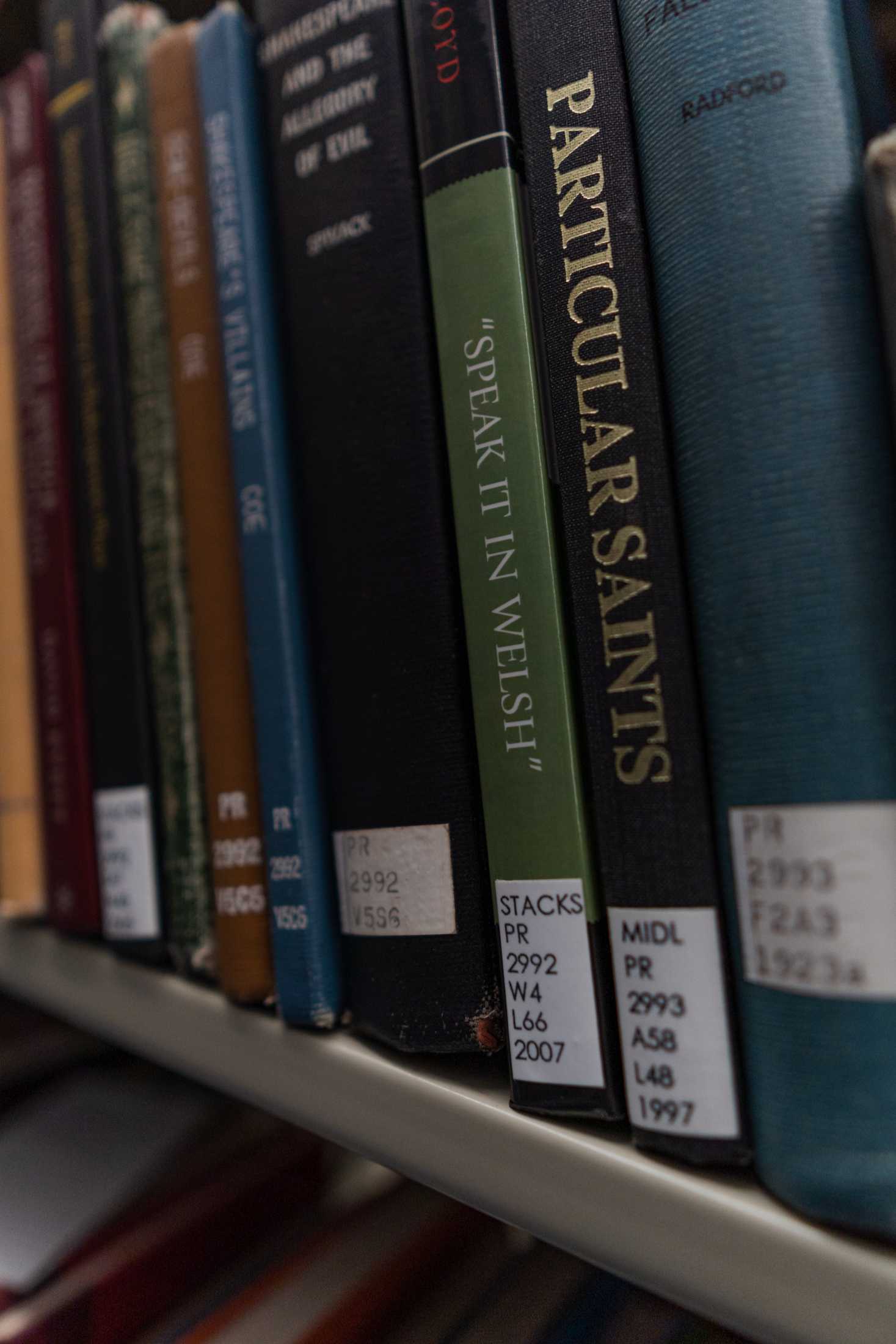 PHOTOS: The LSU Library is more than its leaks and disrepair