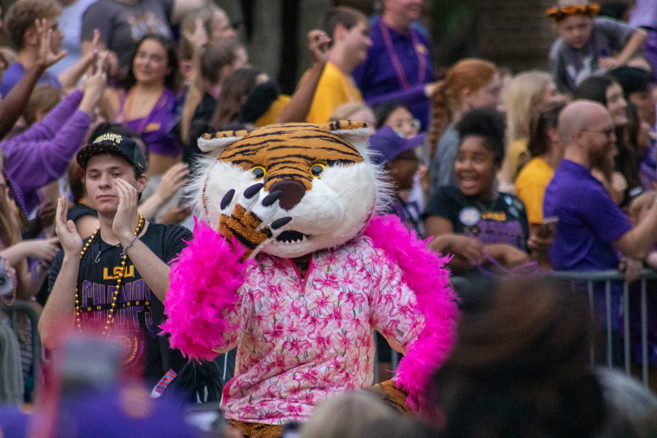 PHOTOS: LSU women's basketball championship parade