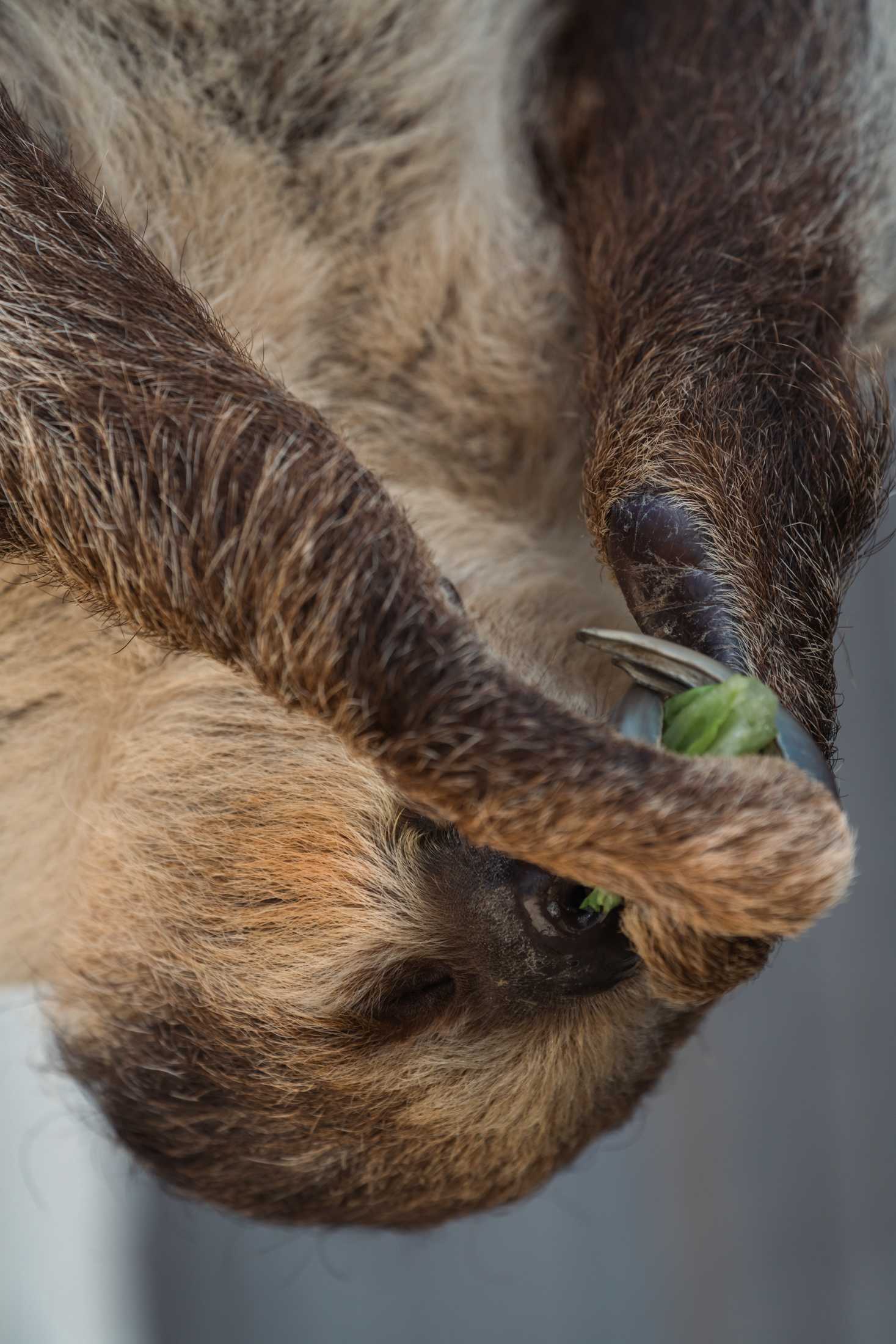 PHOTOS: The wildlife at Barn Hill Preserve