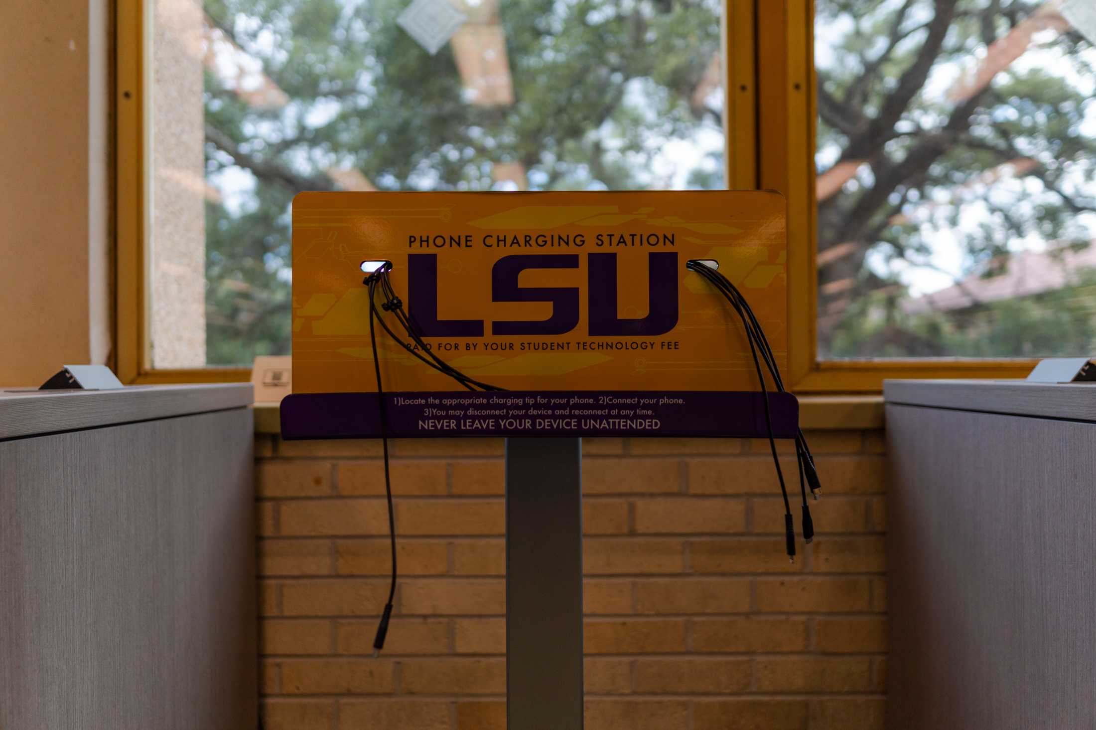 PHOTOS: The LSU Library is more than its leaks and disrepair