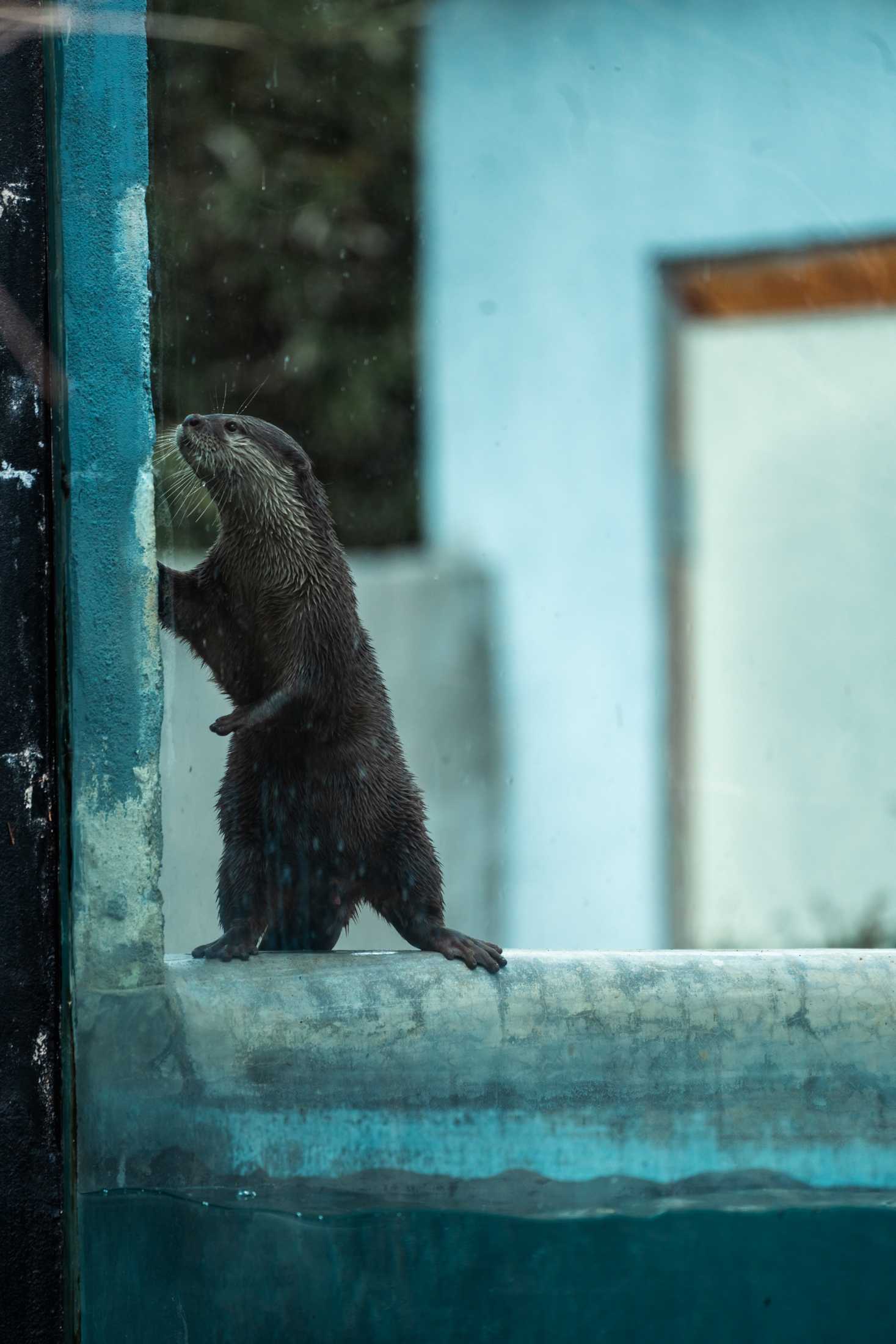 PHOTOS: The wildlife at Barn Hill Preserve