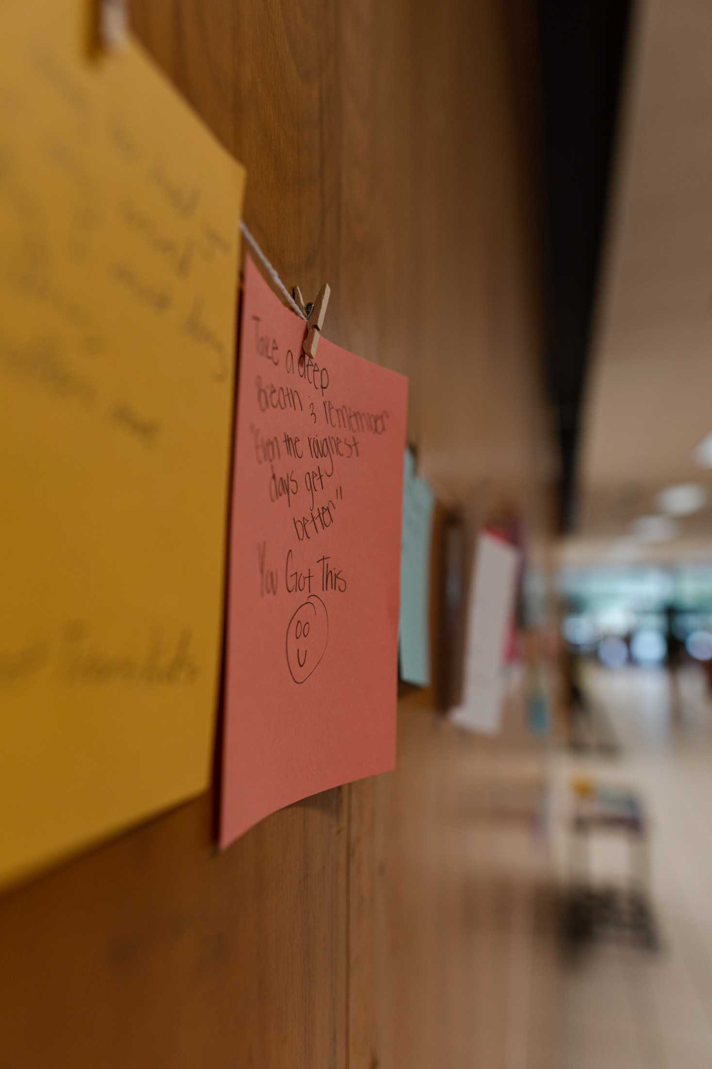 PHOTOS: The LSU Library is more than its leaks and disrepair