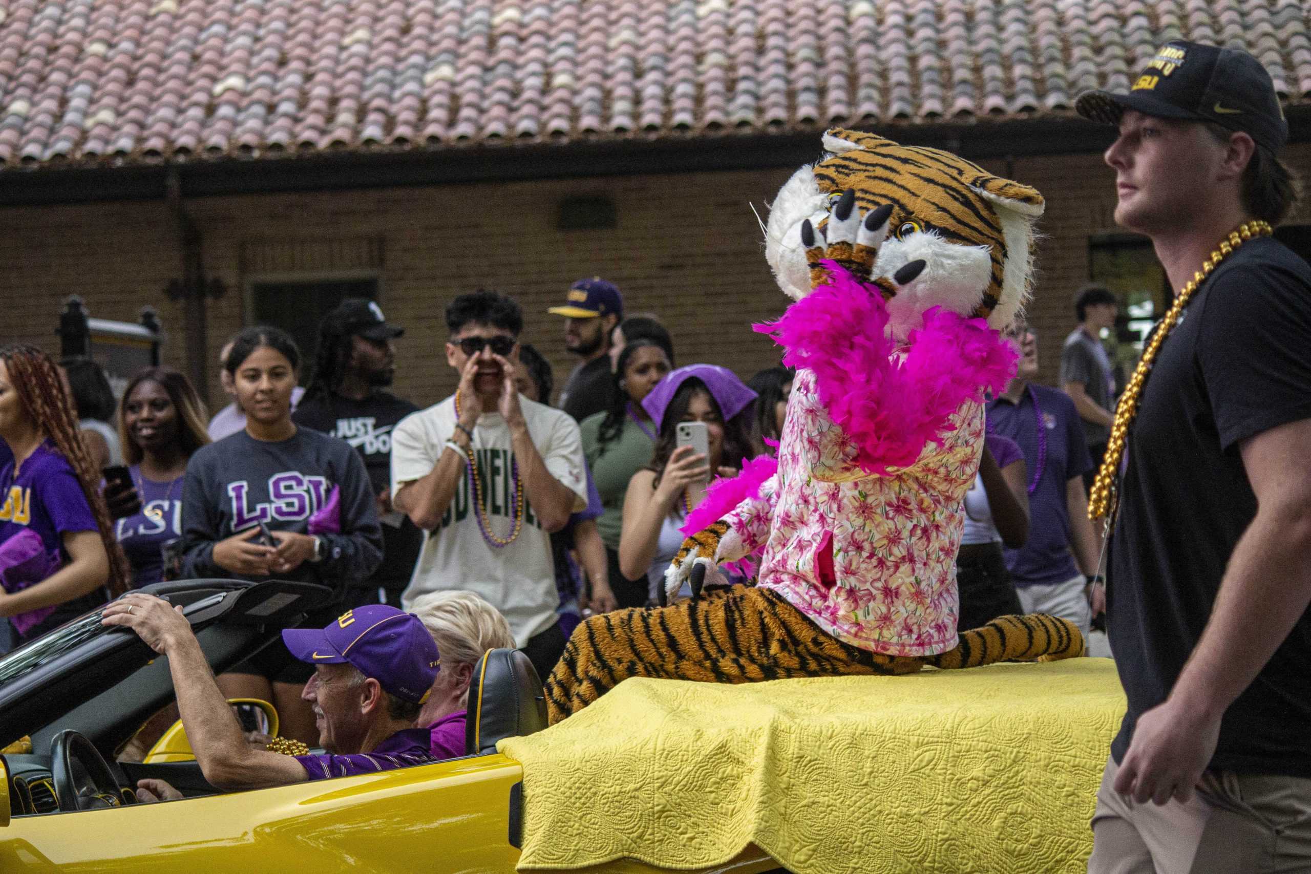 PHOTOS: LSU women's basketball championship parade