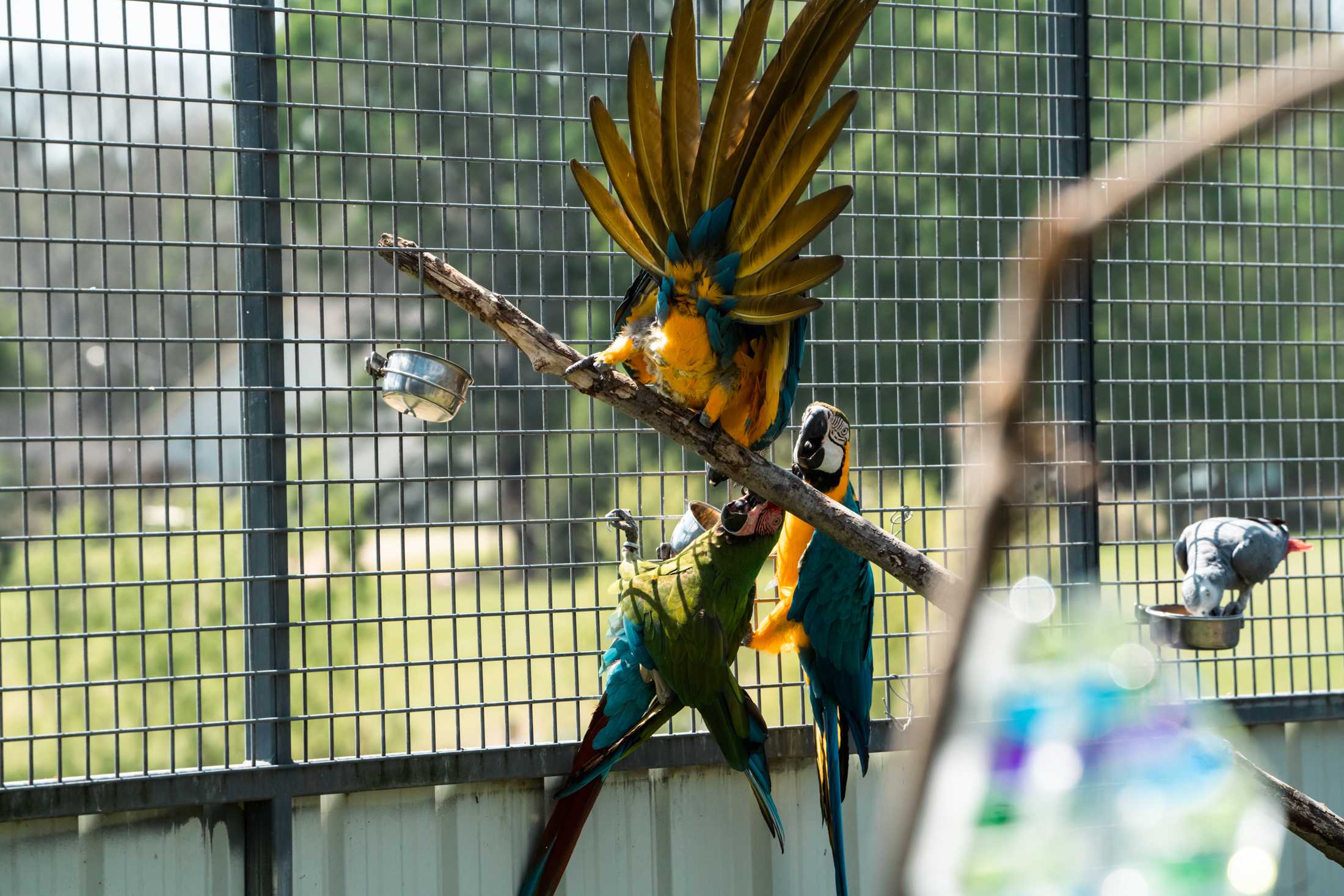 PHOTOS: The wildlife at Barn Hill Preserve