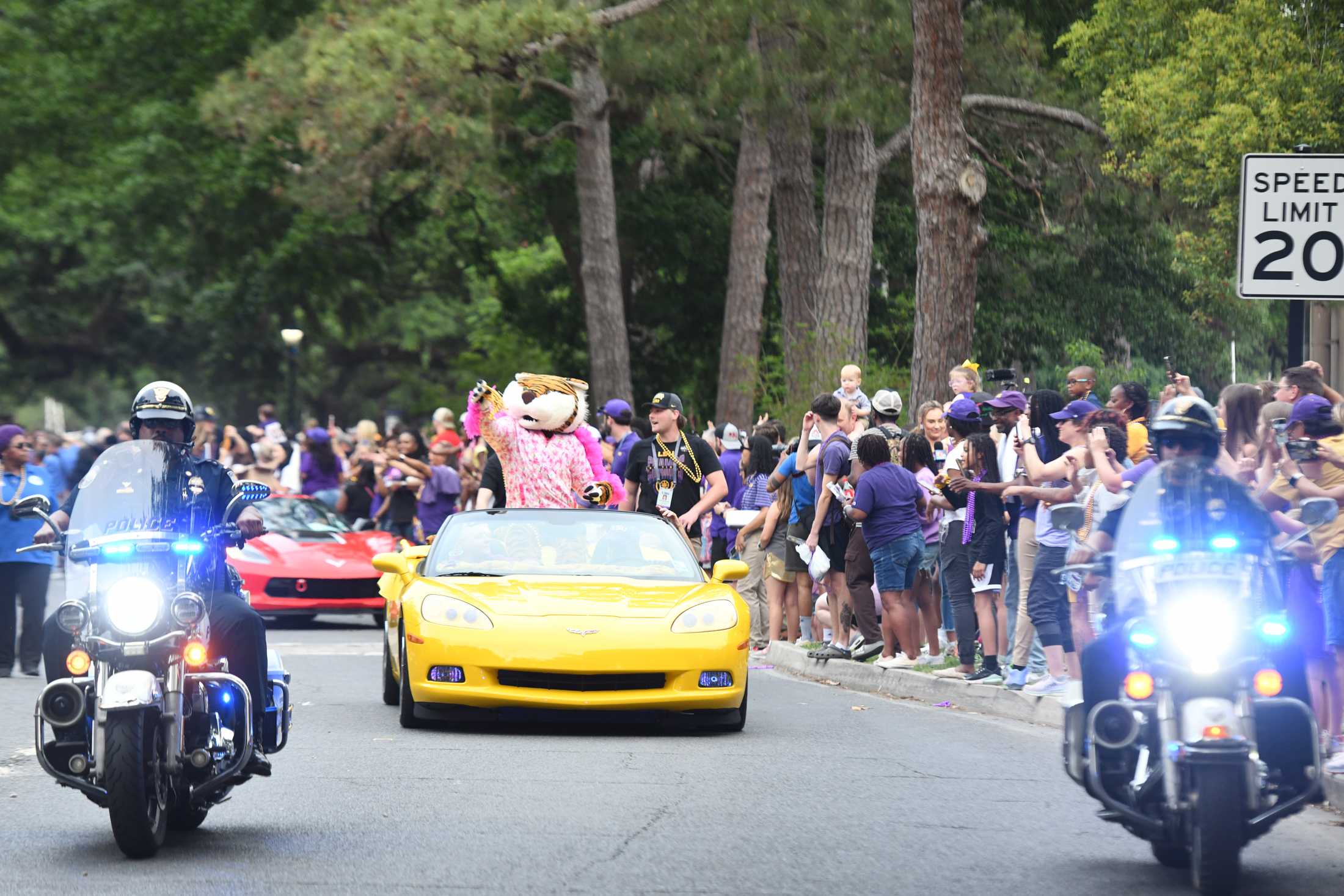 PHOTOS: LSU women's basketball championship parade