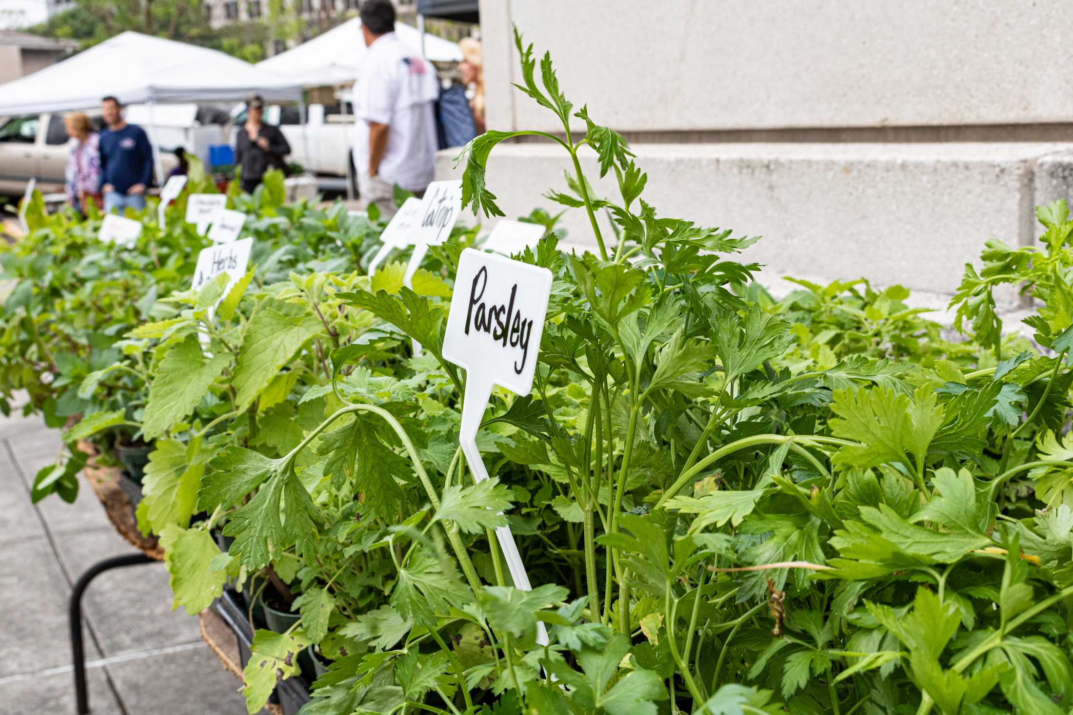 PHOTOS: Red Stick Farmers Market