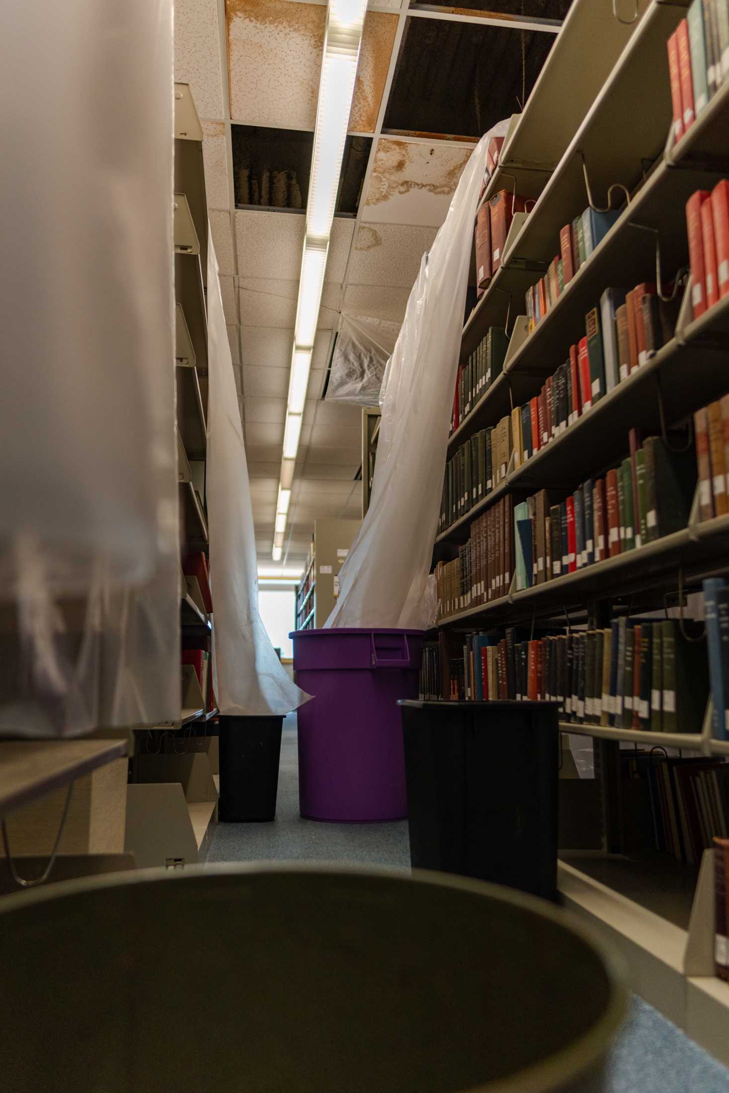 PHOTOS: The LSU Library is more than its leaks and disrepair