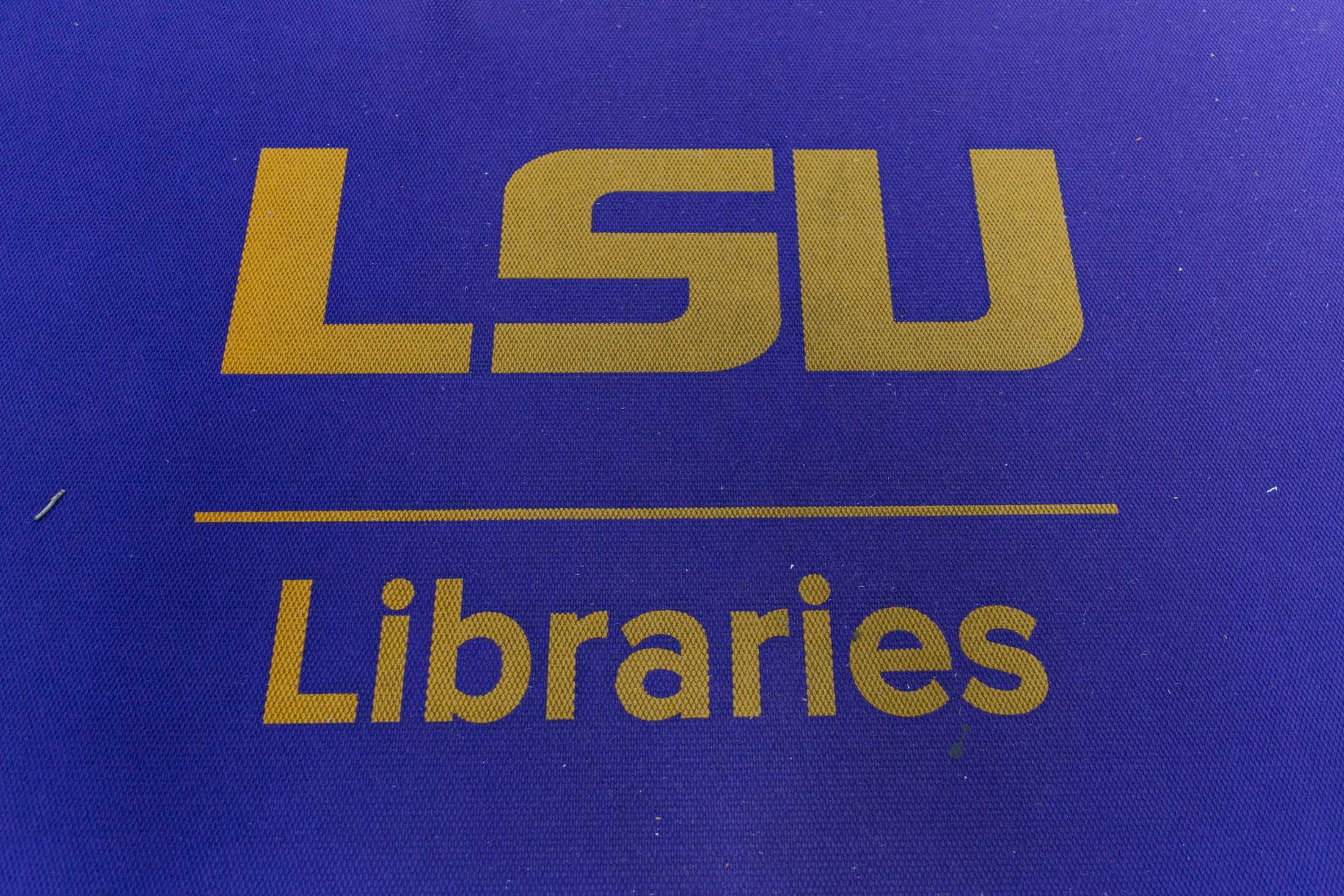 PHOTOS: The LSU Library is more than its leaks and disrepair