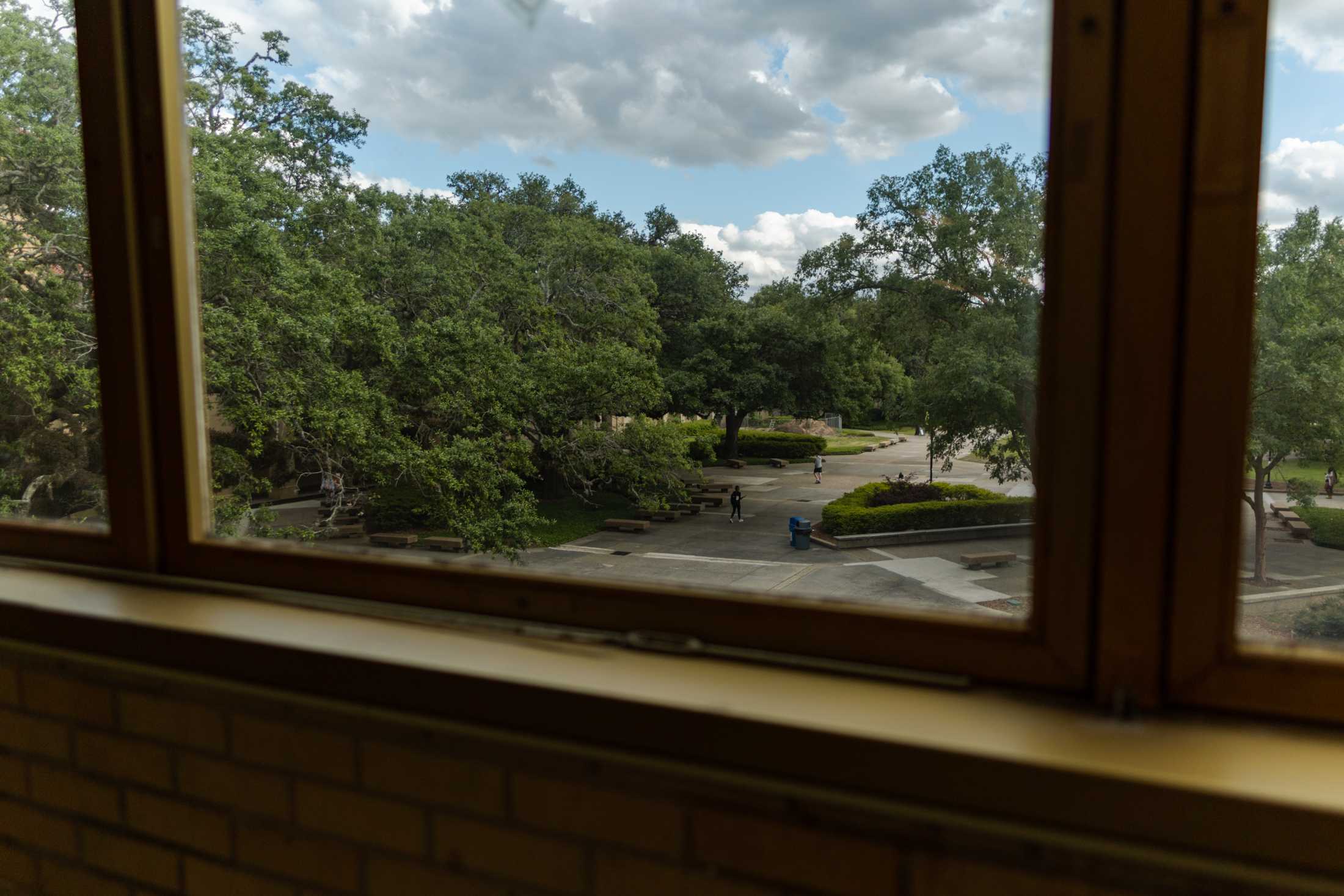 PHOTOS: The LSU Library is more than its leaks and disrepair