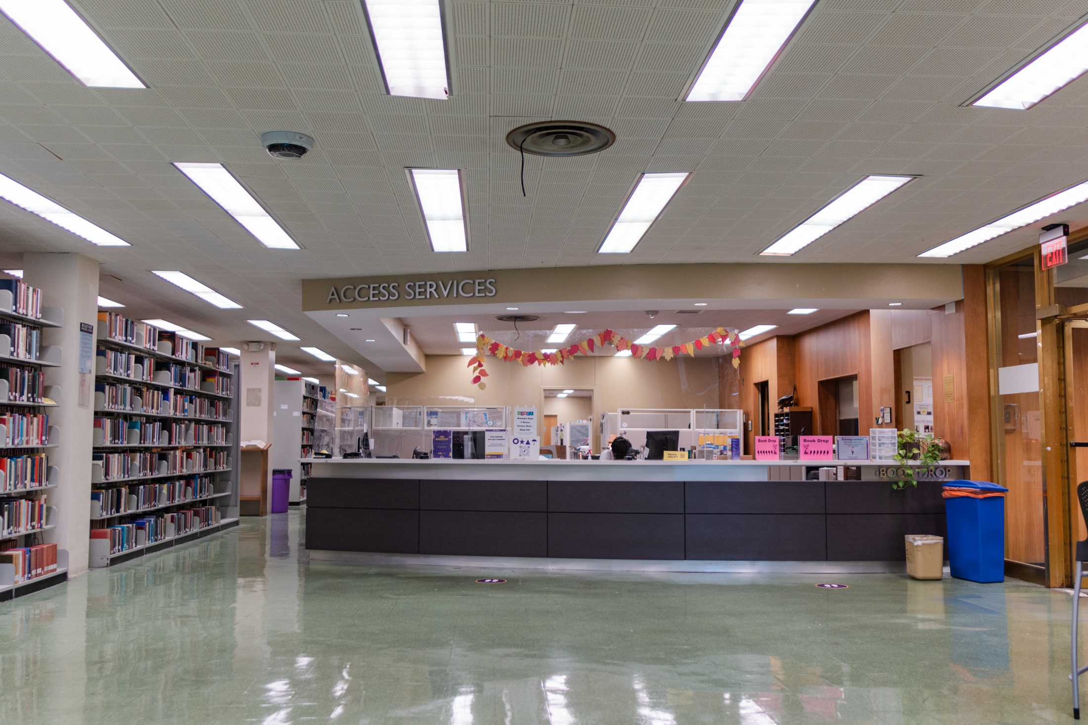 PHOTOS: The LSU Library is more than its leaks and disrepair