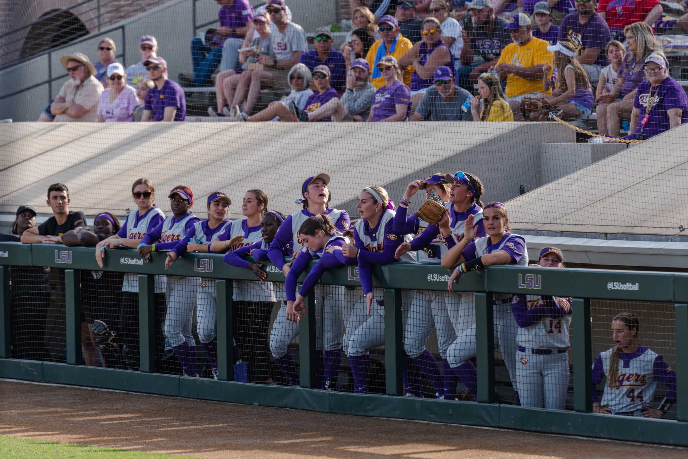 PHOTOS: LSU softball defeats LA Tech 6-2