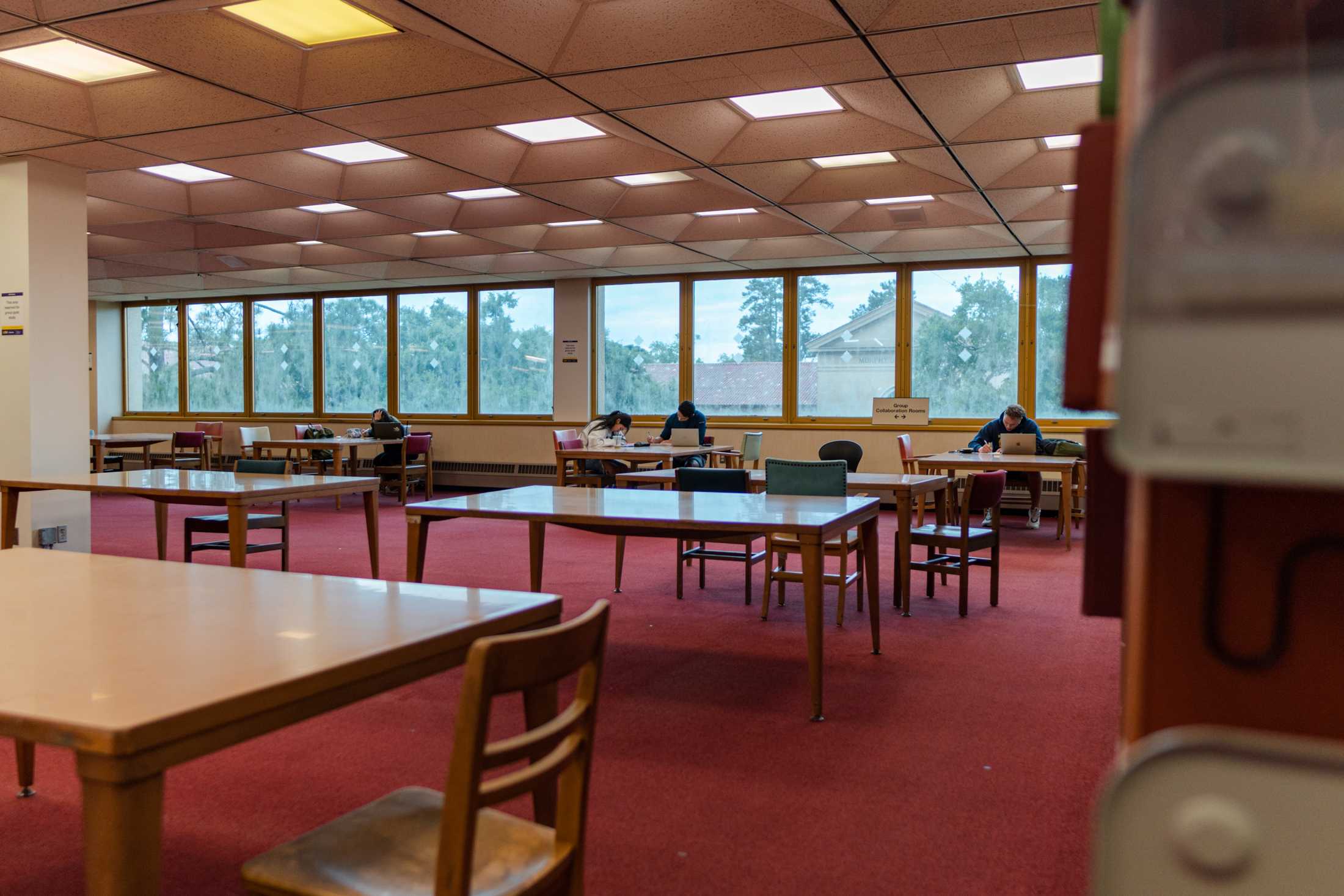 PHOTOS: The LSU Library is more than its leaks and disrepair