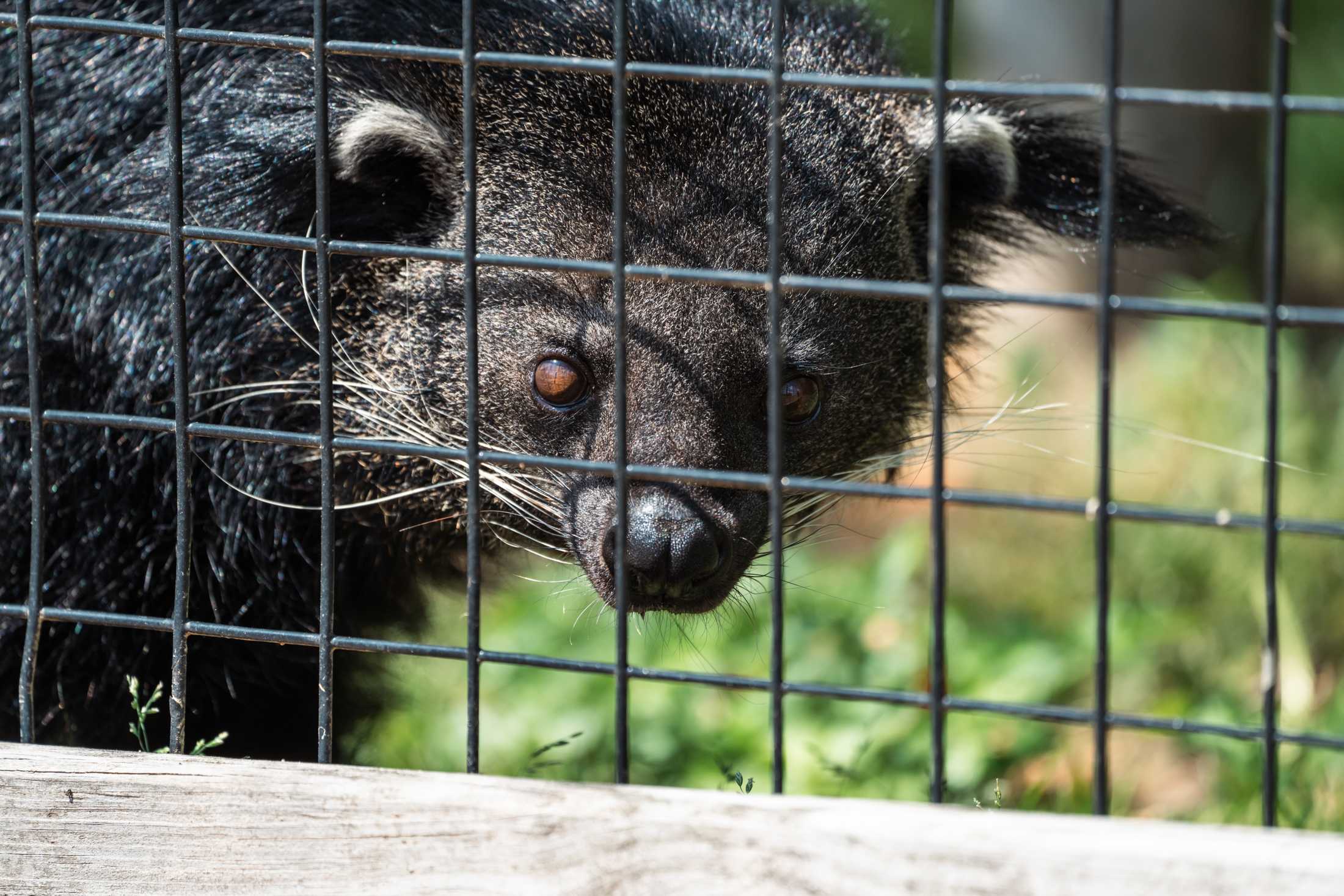 PHOTOS: The wildlife at Barn Hill Preserve