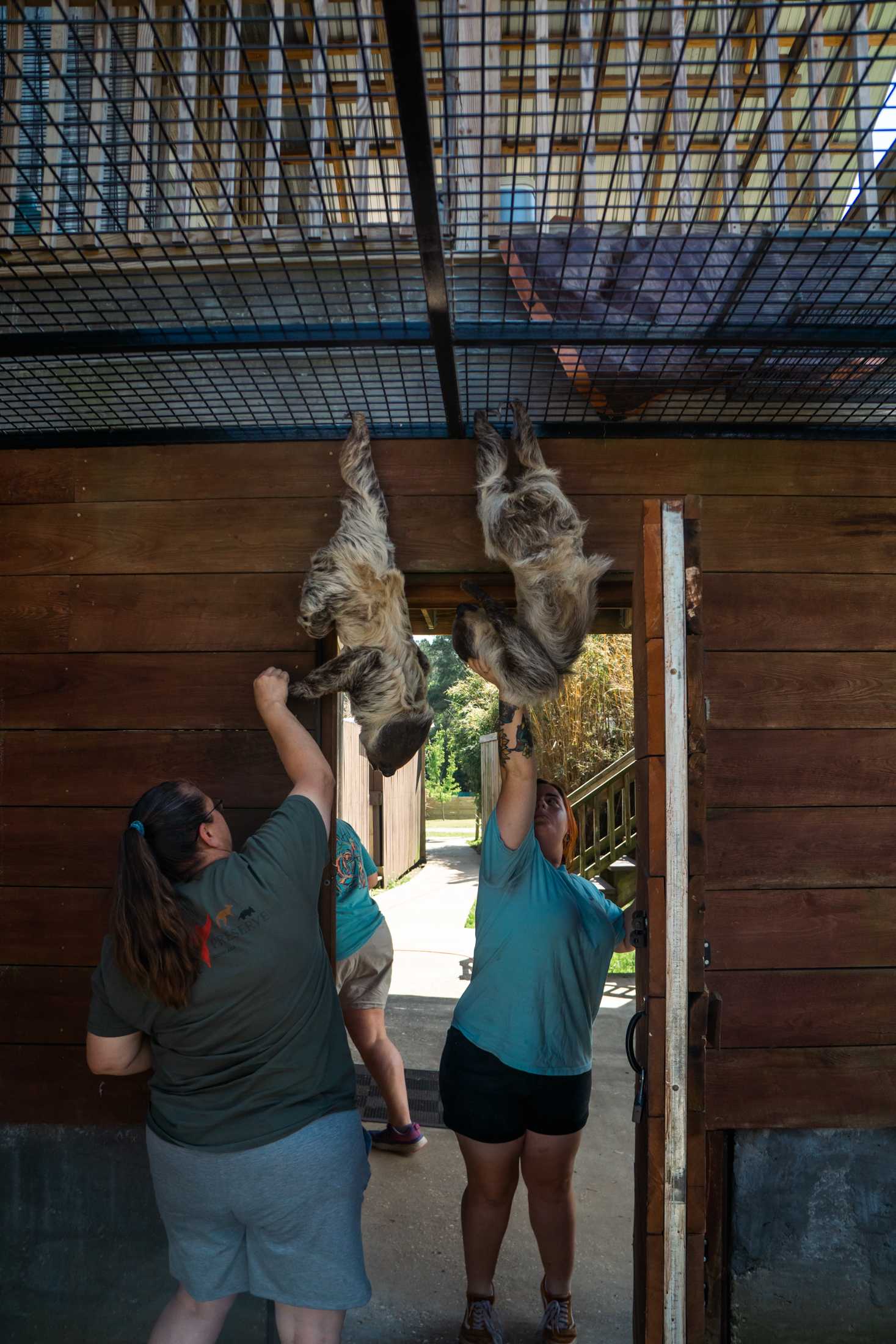 PHOTOS: The wildlife at Barn Hill Preserve