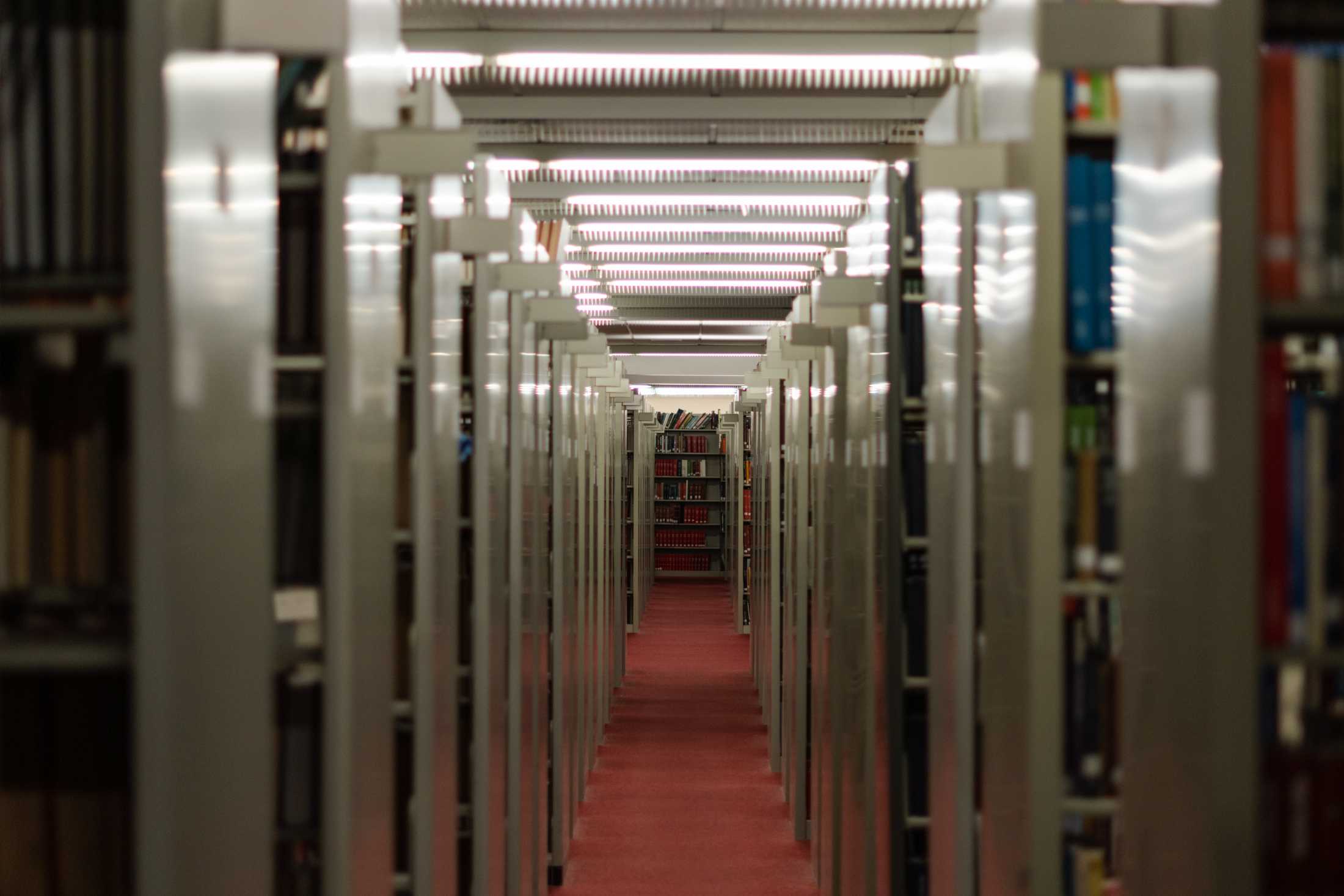 PHOTOS: The LSU Library is more than its leaks and disrepair